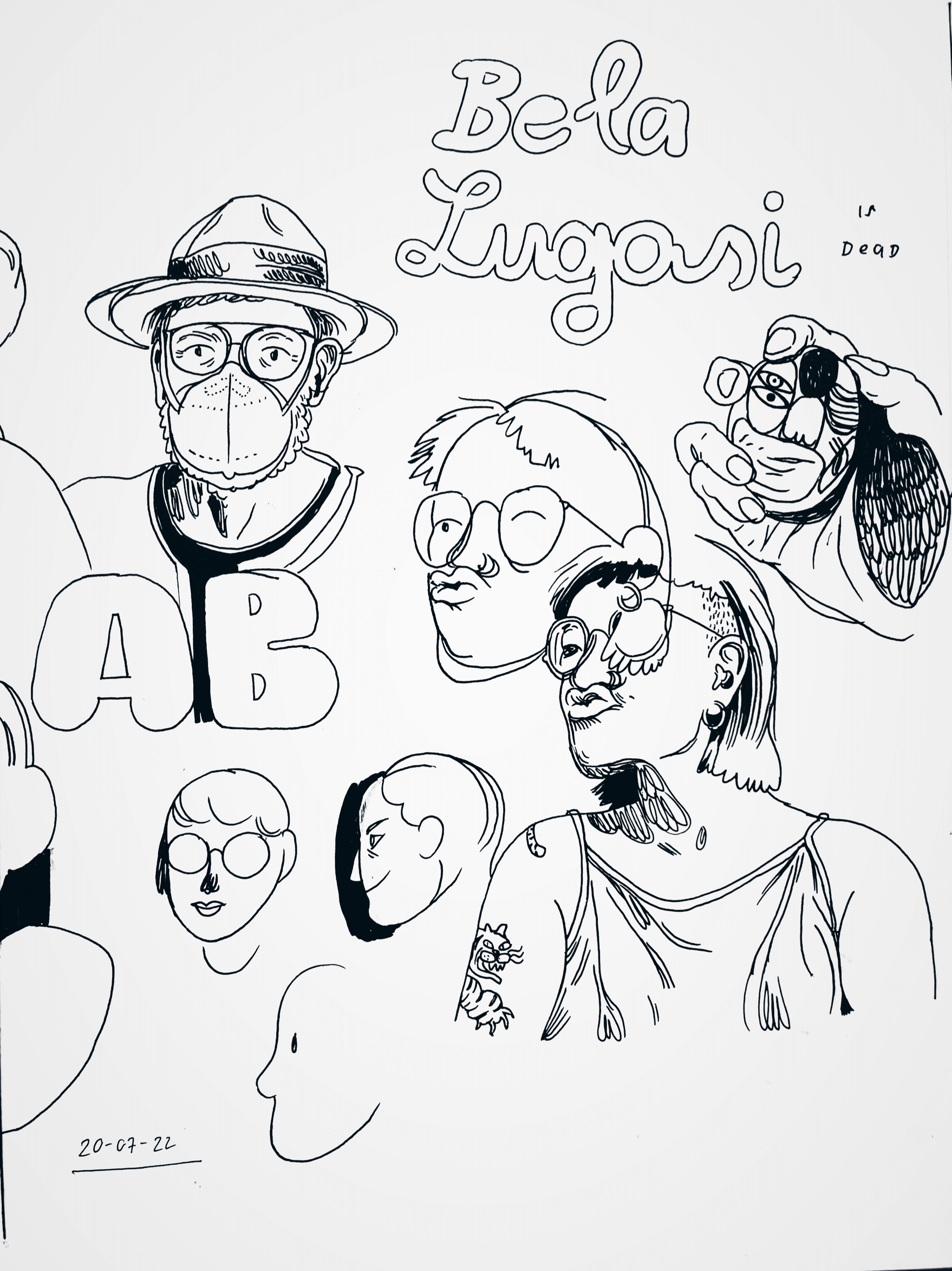 IMG_6528.PNG