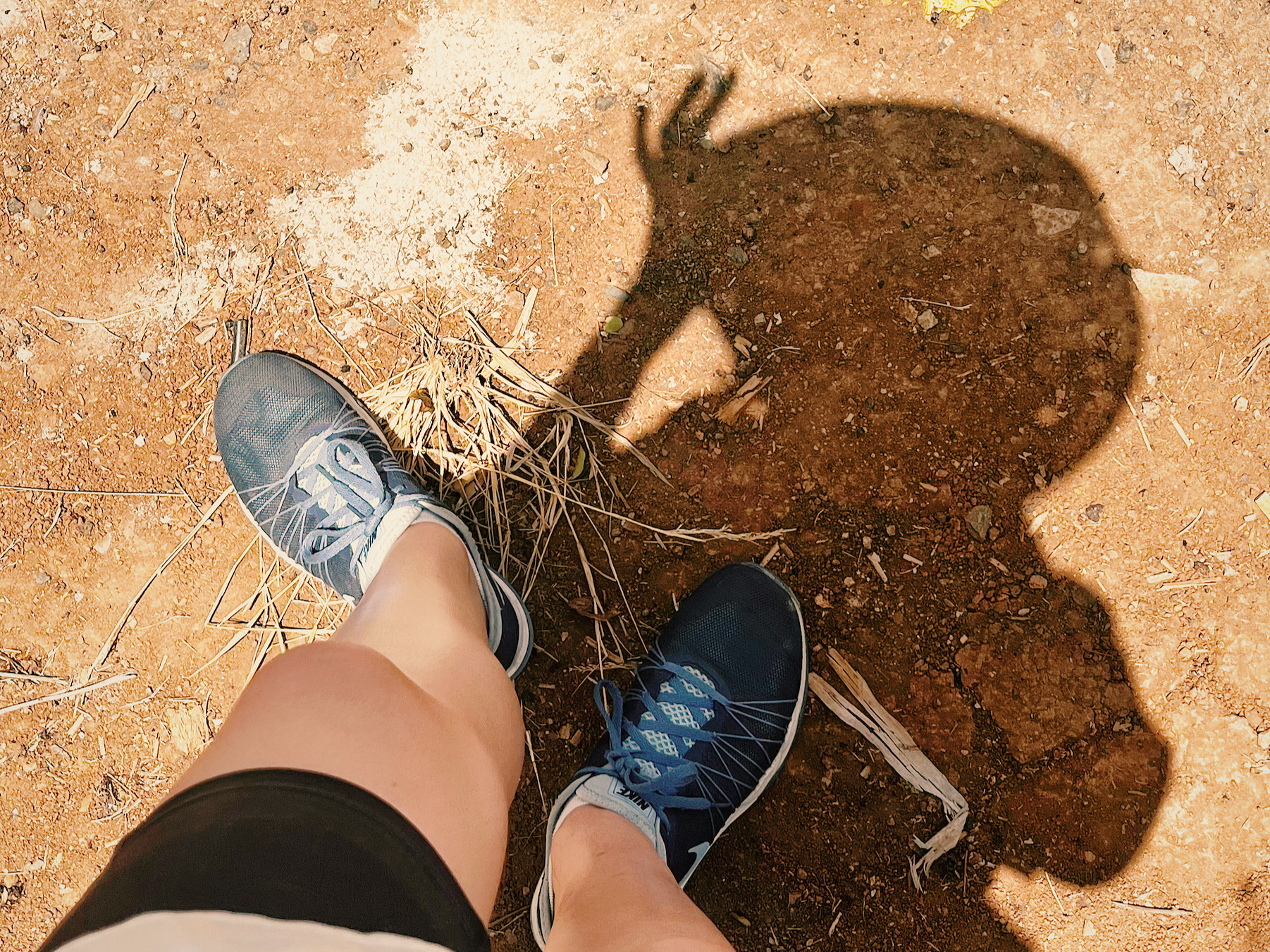 Juli 2024: Guilty Pressure