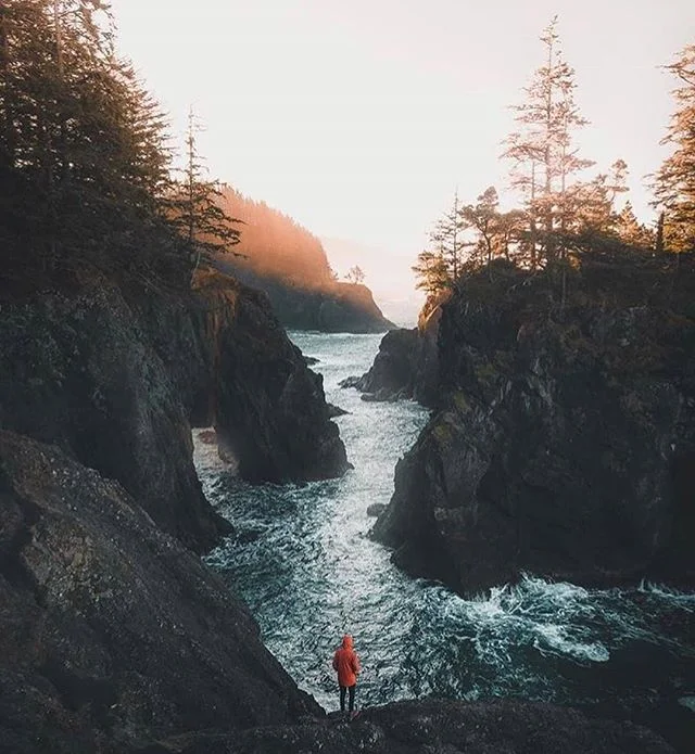 #currentmood - One of my favorite poems: The Journey by Mary Oliver
.
.

One day you finally knew

what you had to do, and began,

though the voices around you

kept shouting

their bad advice-- though the whole house

began to tremble

and you felt 