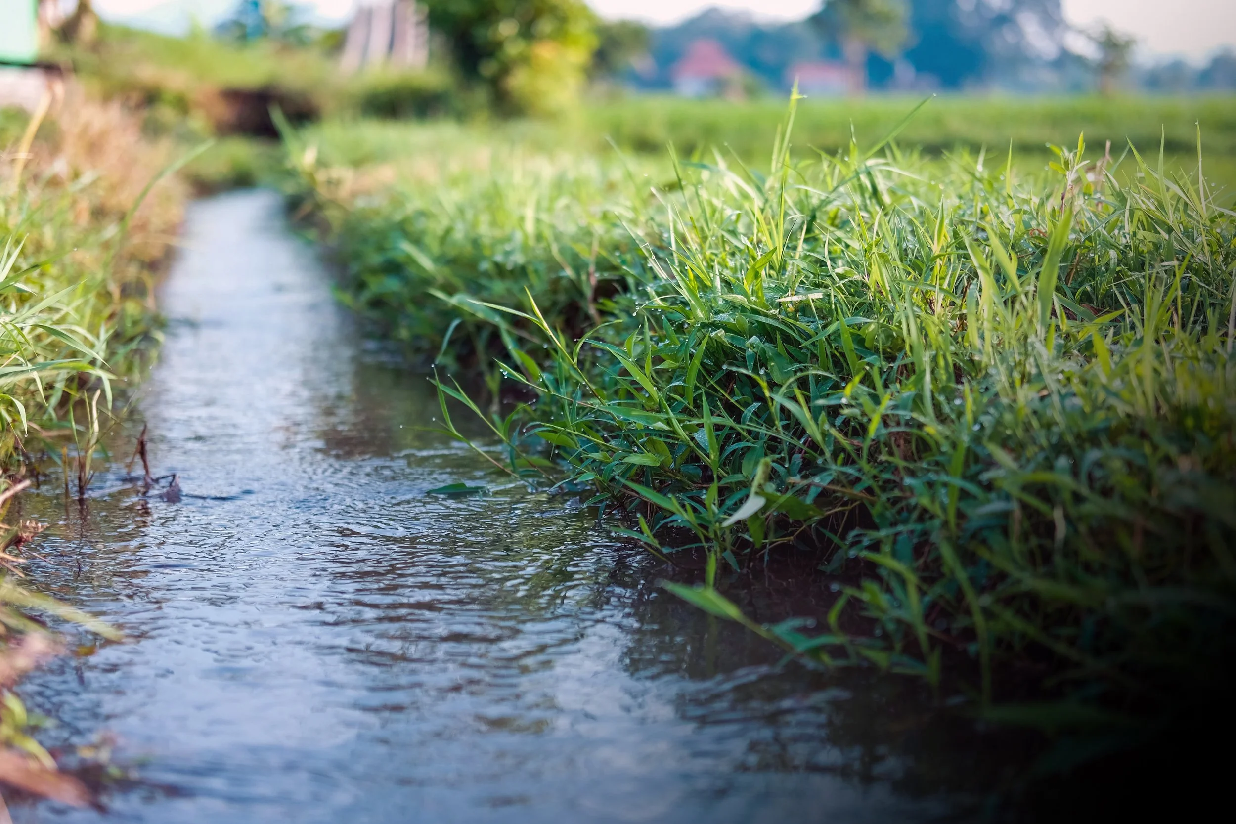 McCormick® Joins PepsiCo to Help Advance Climate-Smart Agriculture with the Soil and Water Outcomes Fund® 
