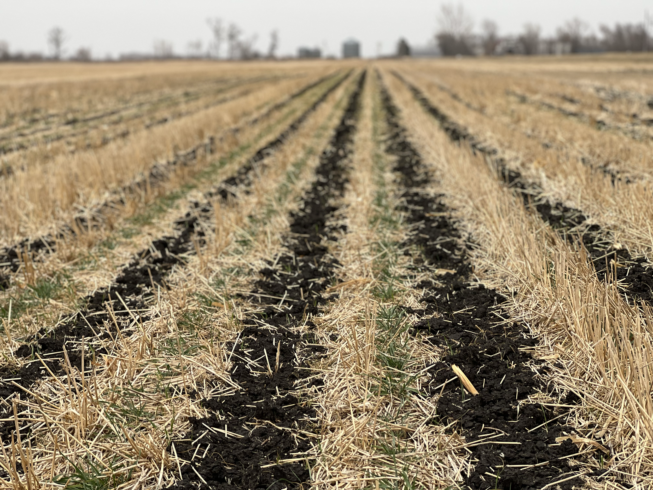 Mars partners to support regenerative agriculture transition across its North American pet food supply chain