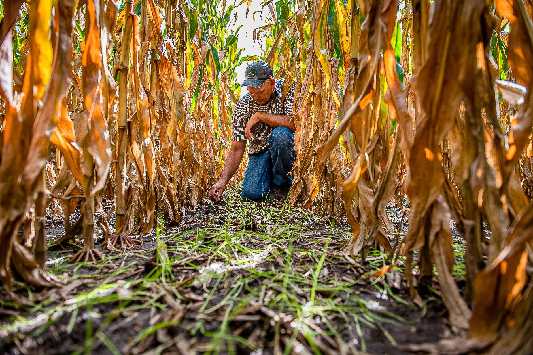 PepsiCo and Ingredion Partner with Soil and Water Outcomes Fund to Drive Carbon Sequestration and Water Quality Improvement Through Farmer-Centric Approach to Sustainable Agriculture
