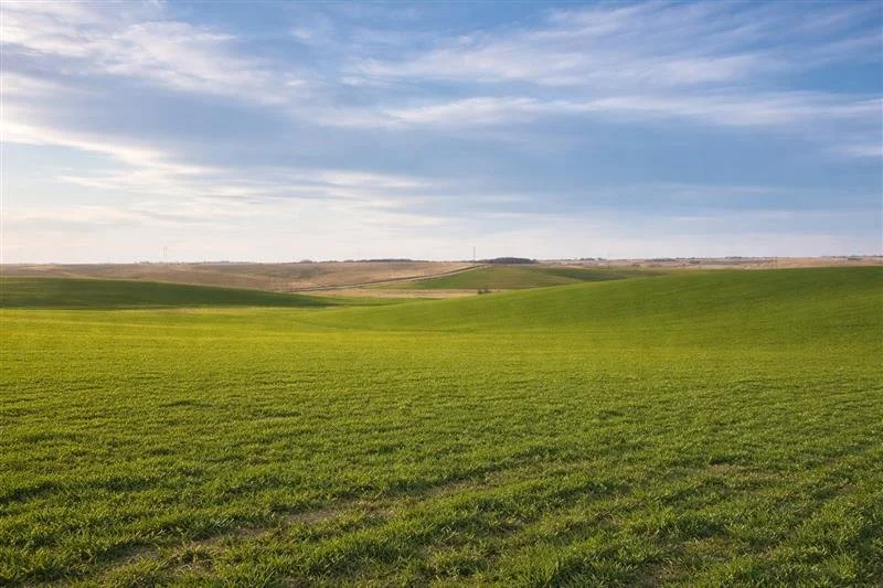Addressing the Top Cover Crop Misconceptions