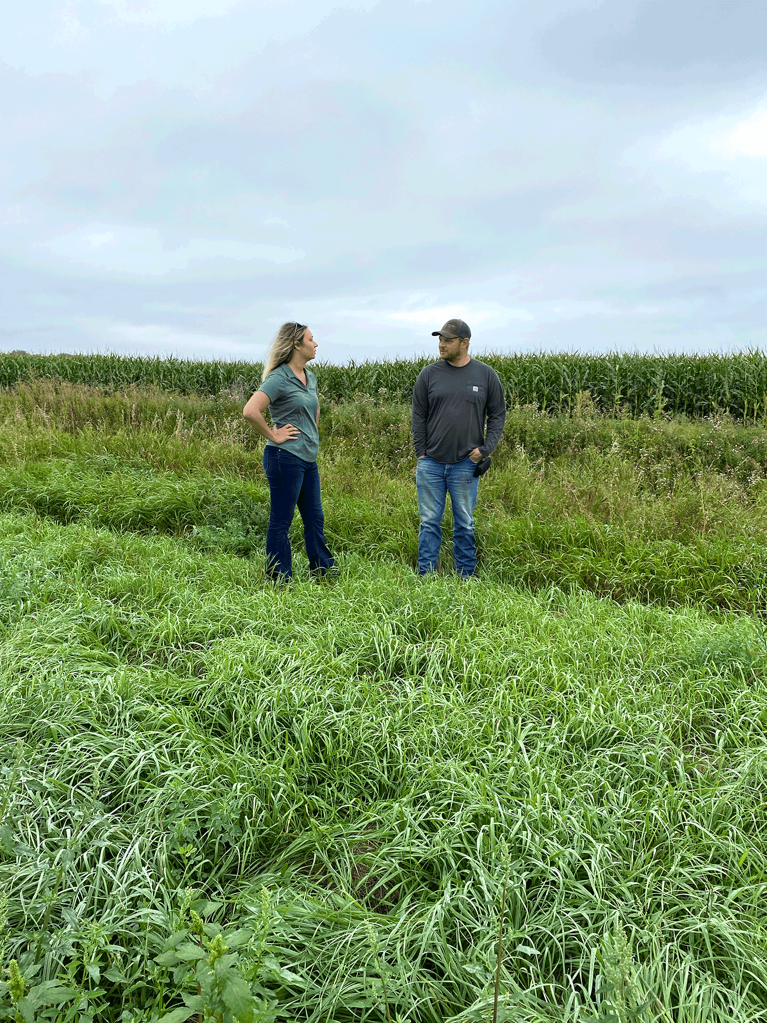 polk-county-mn-8-24.png