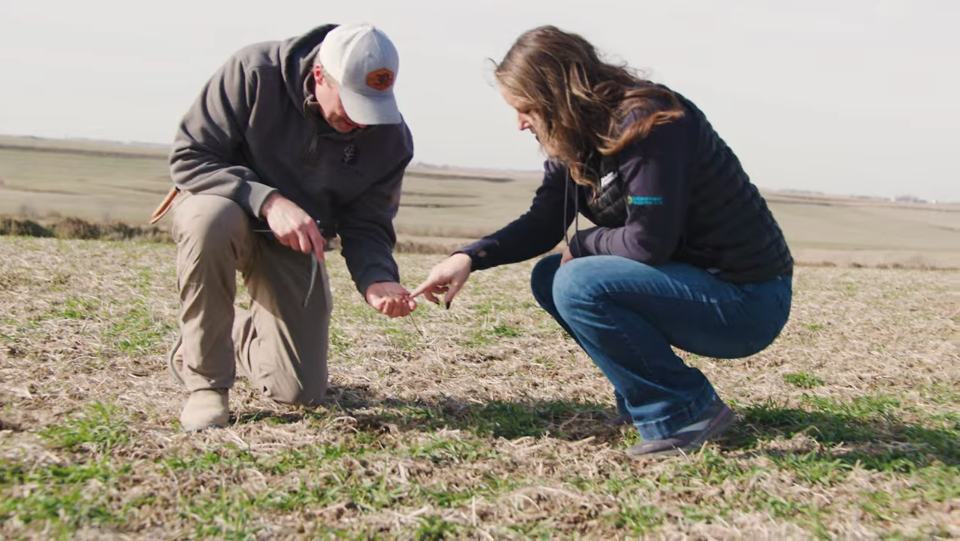 Jeff Bentley and his SWOF field representative crouch in a field to examine a plant.