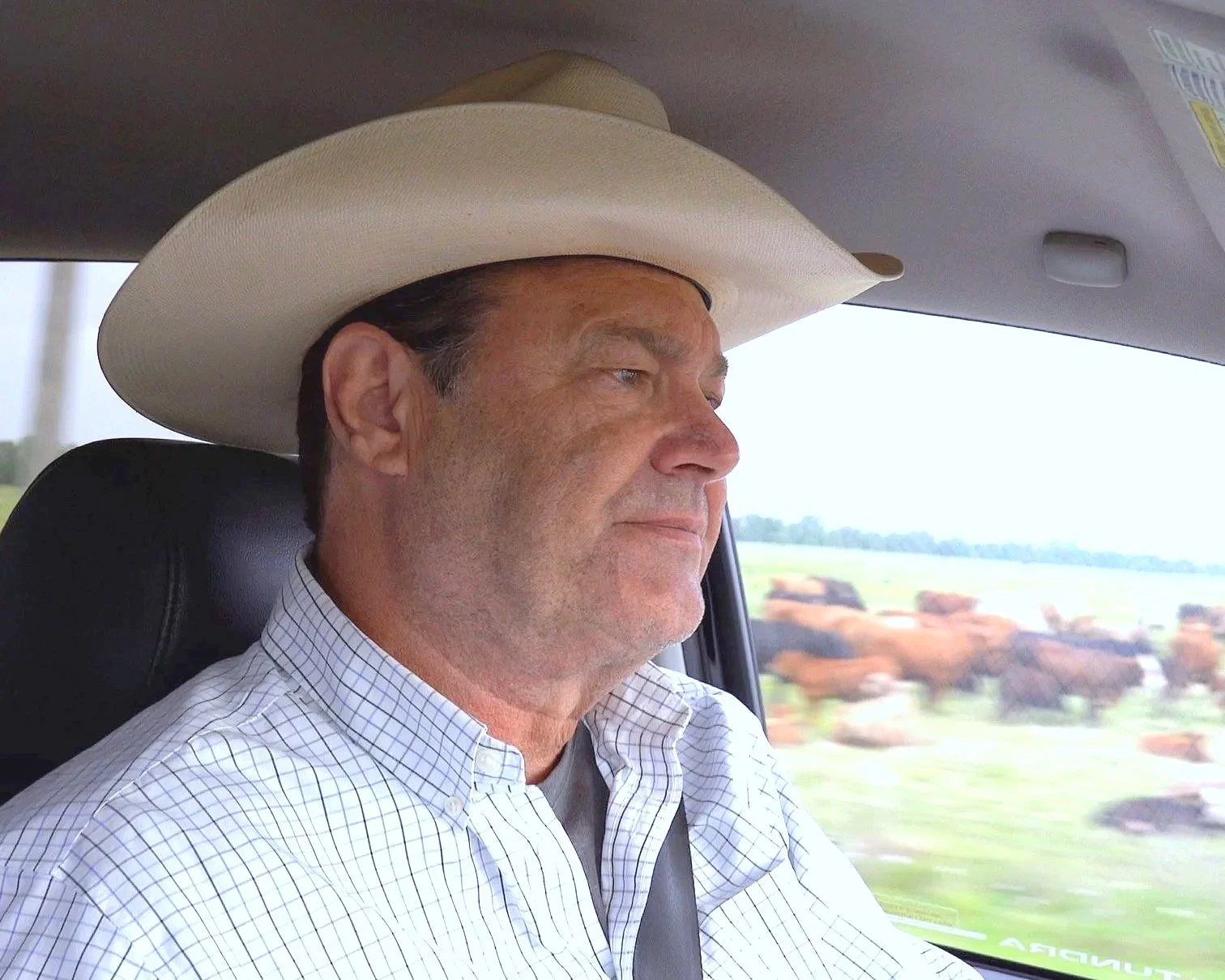 Dave Crockett - Actor