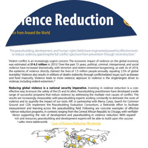 Case Statement: Violence Reduction - Evidence from Around the World