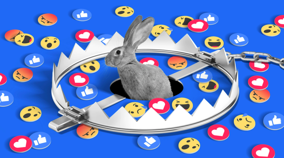 What Facebook Knew About How it Radicalized Users