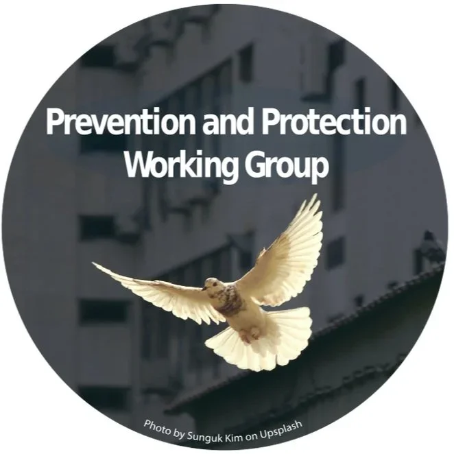 Prevention and Protection Working Group (PPWG)