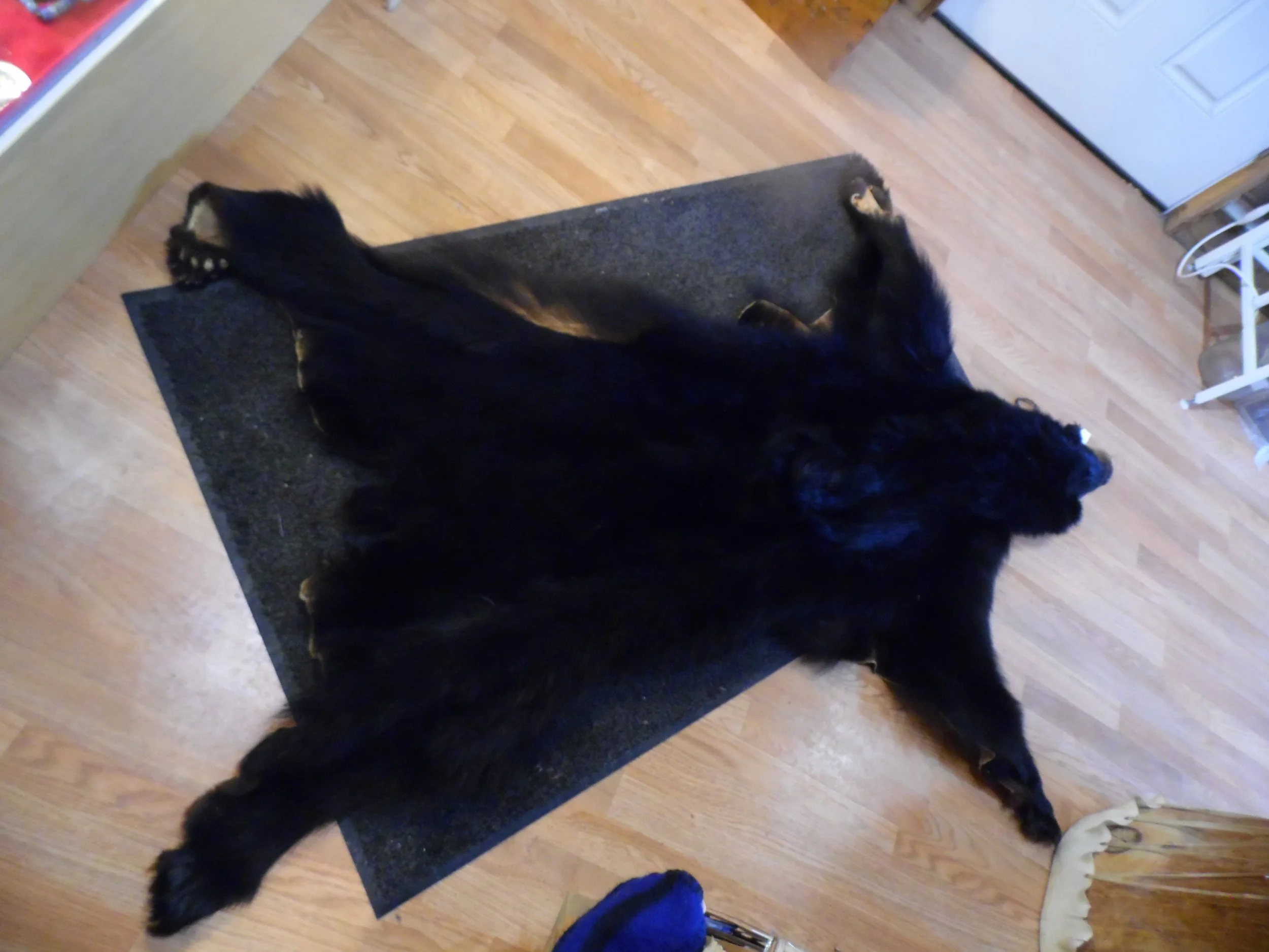 SAM_0357.JPG