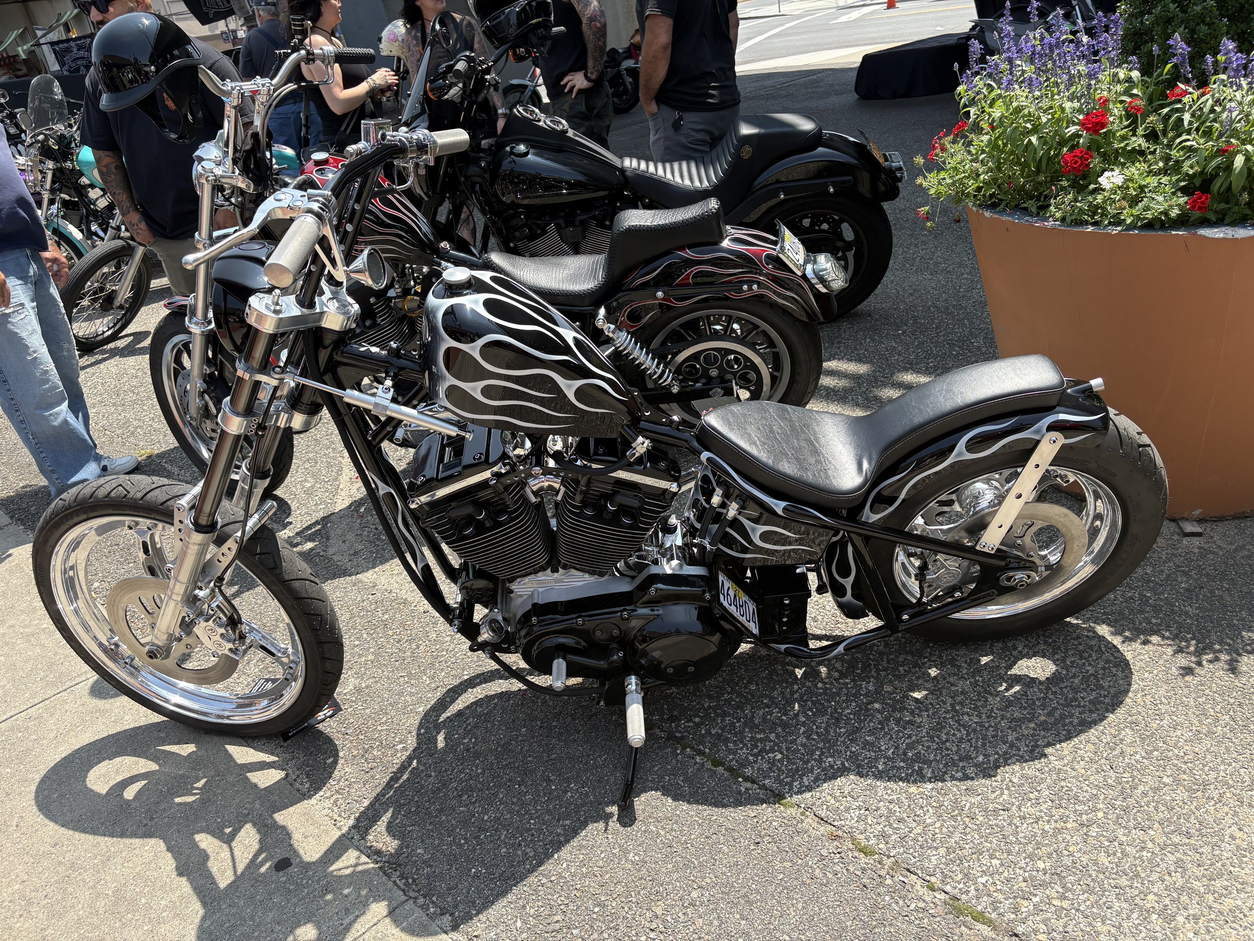IMG_7029.jpeg