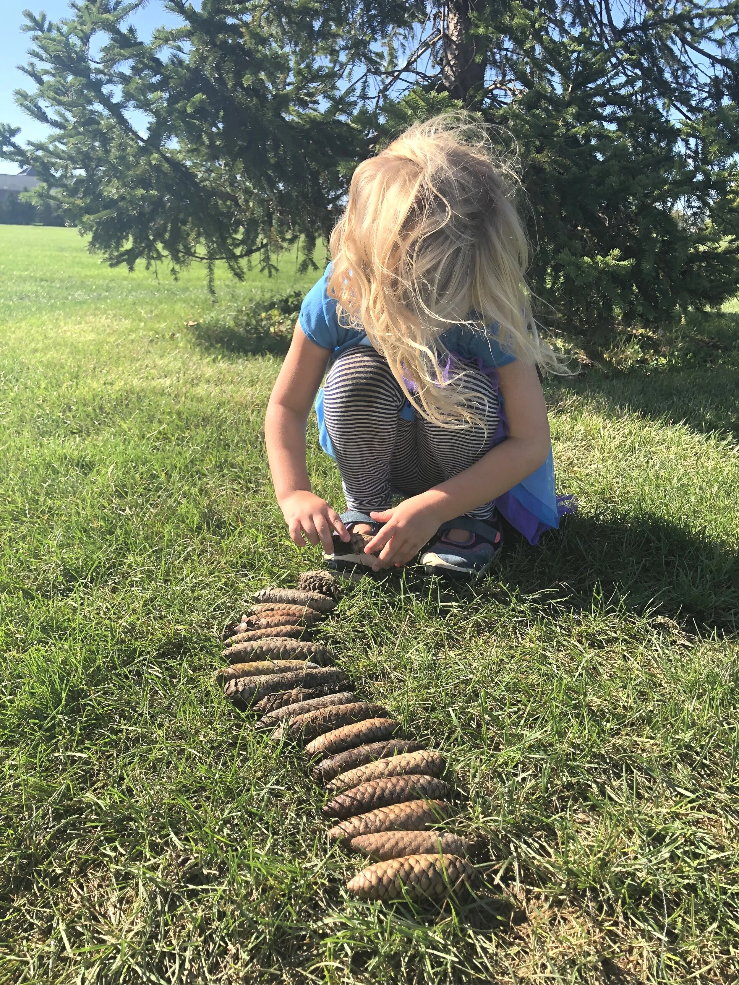 quinny+pinecones.jpg