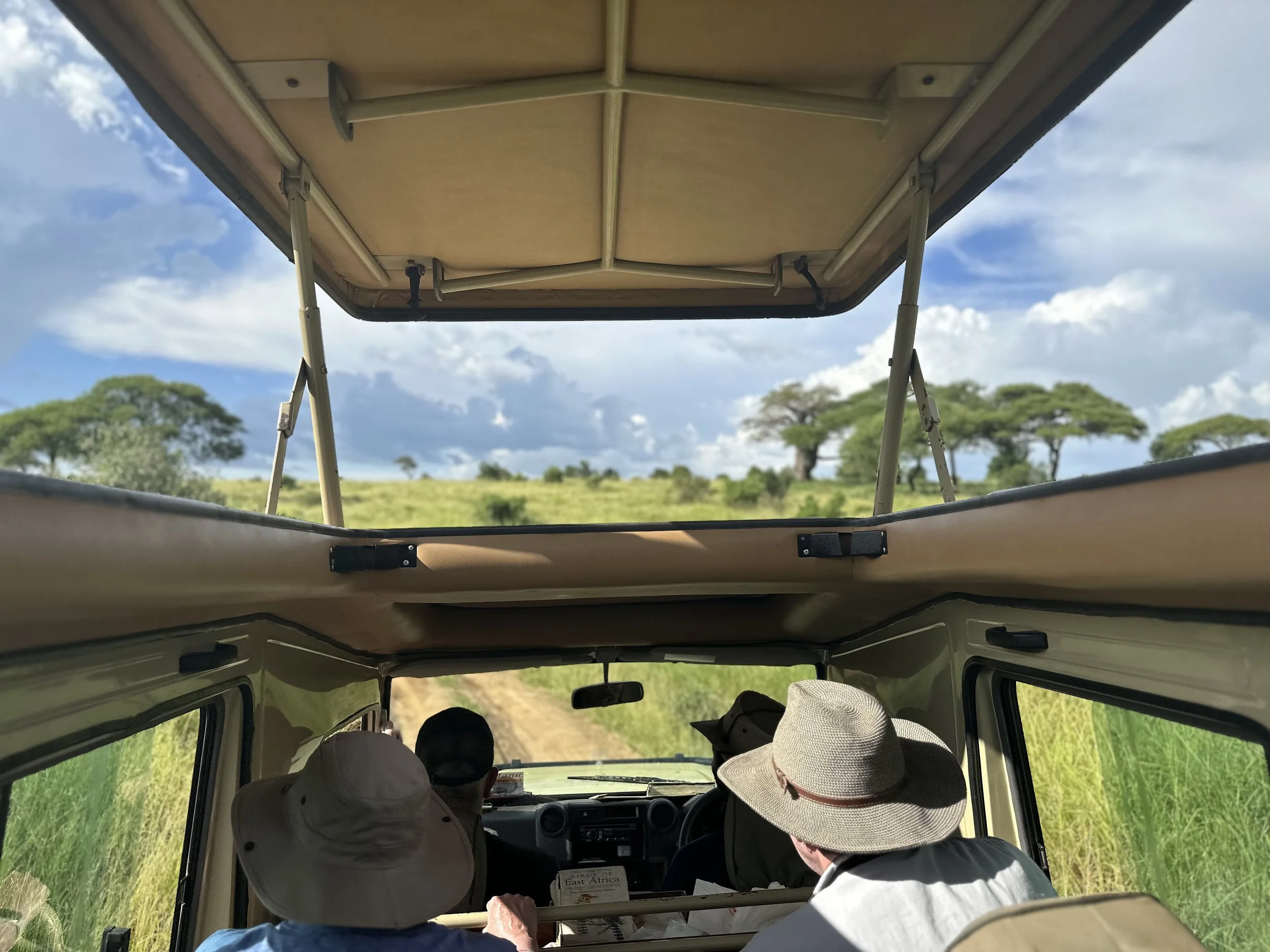Rover Tarangire .jpg