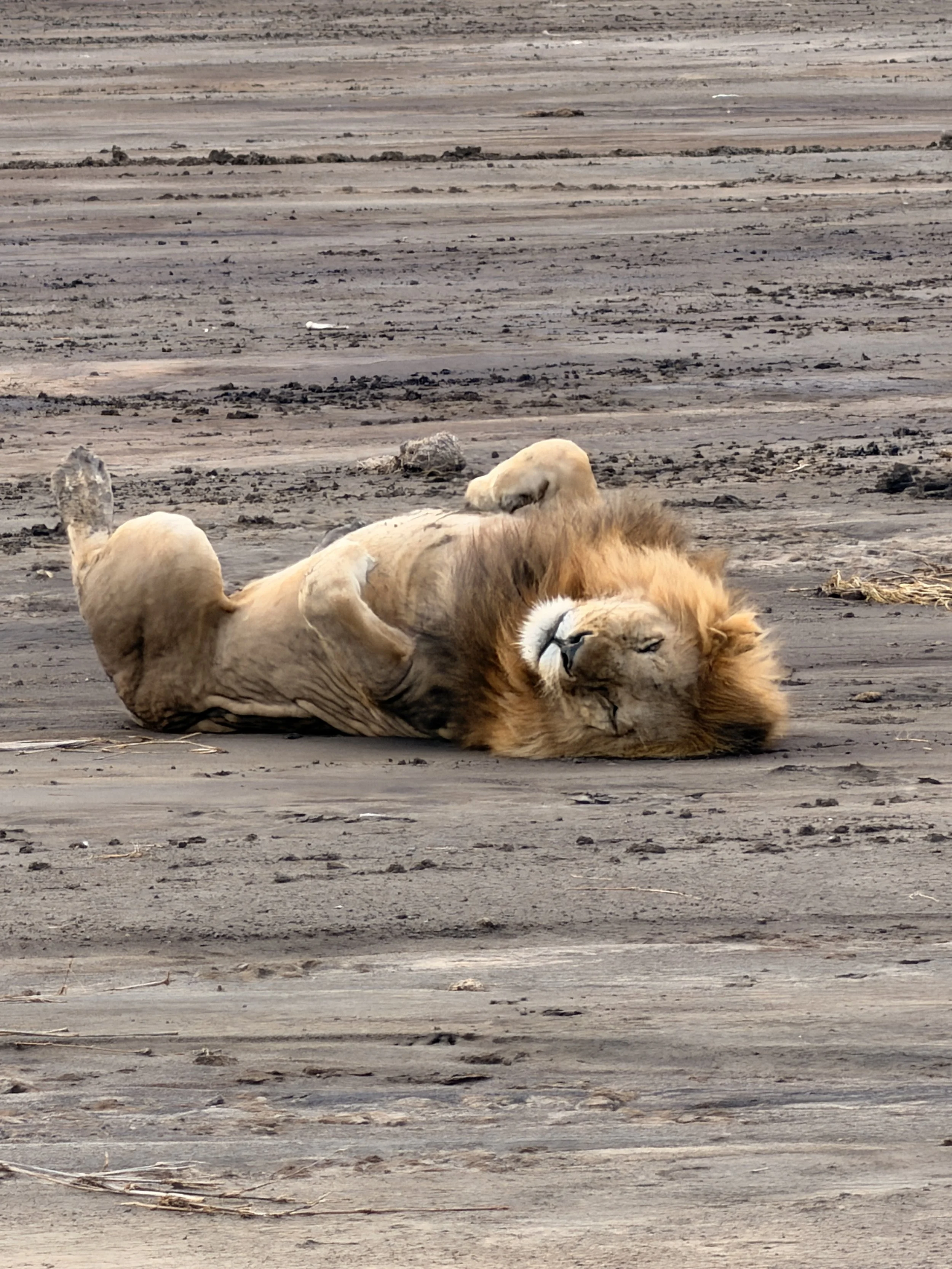 DAY 11 - Monday February 22nd