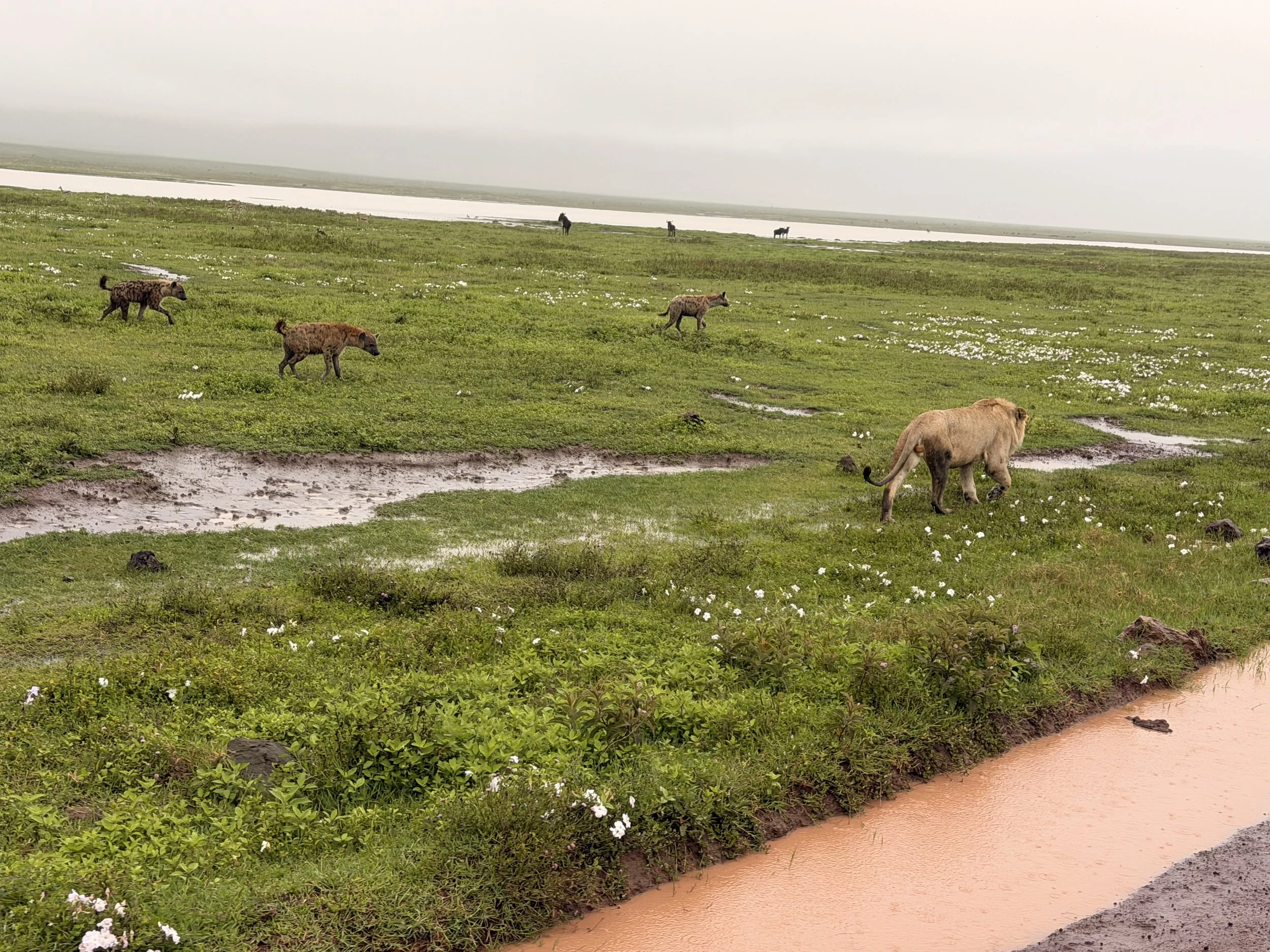 DAY 12 - Tuesday, February 23rd