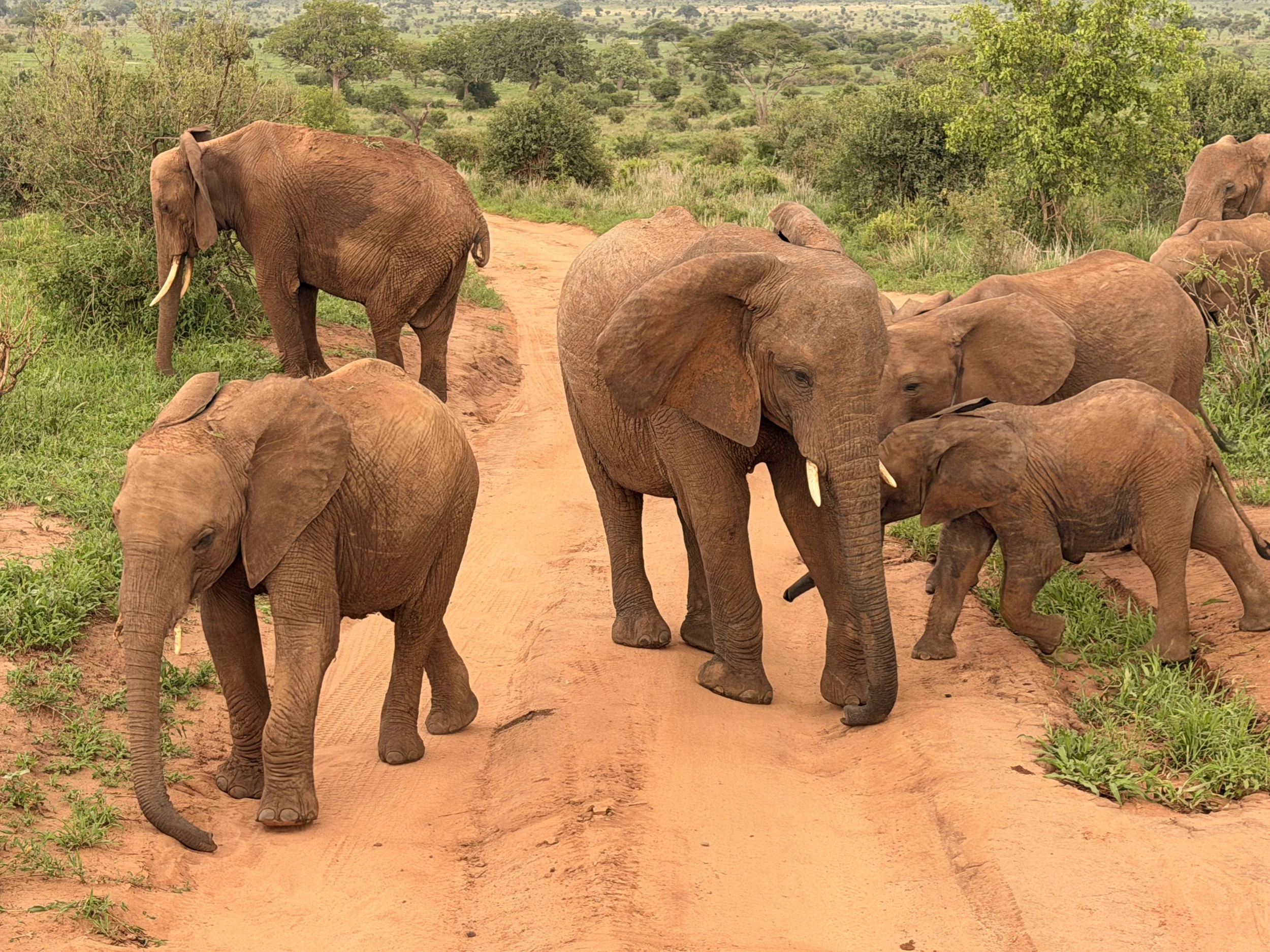 DAY 2 - Saturday, February 13th