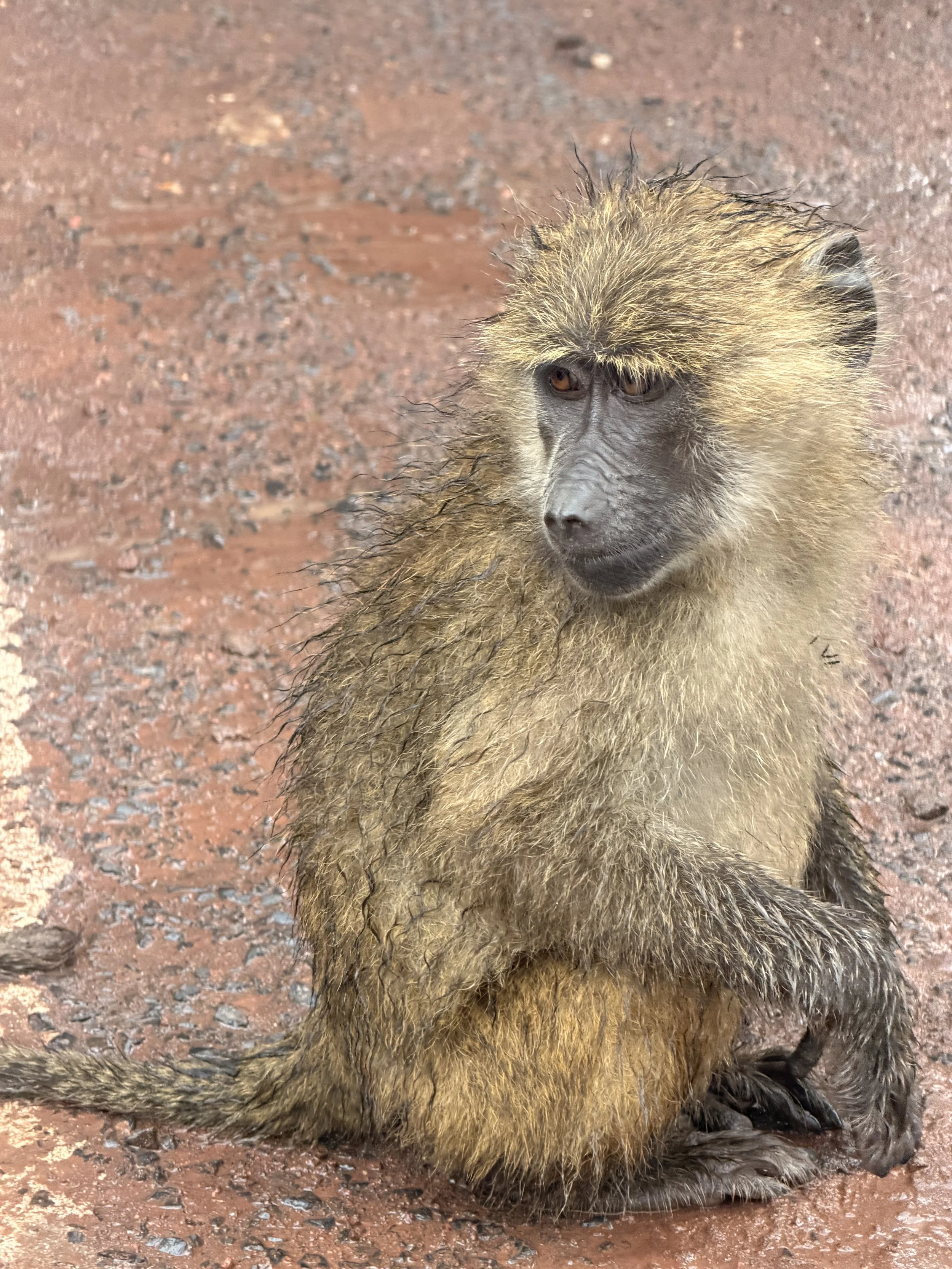 DAY 6 - Wednesday, February 17th