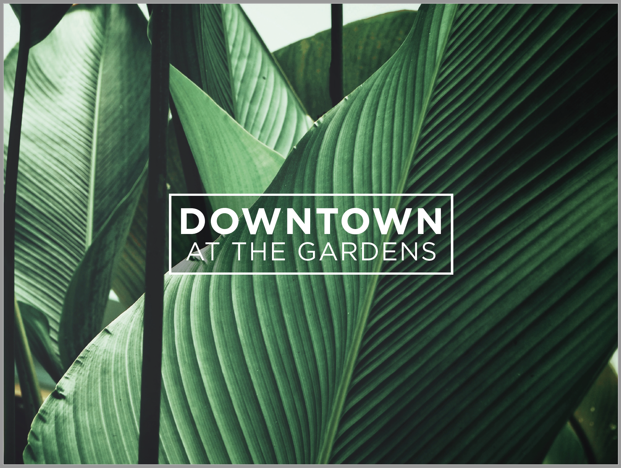 Screen Shot 2019-10-21 at 10.31.20 PM.png