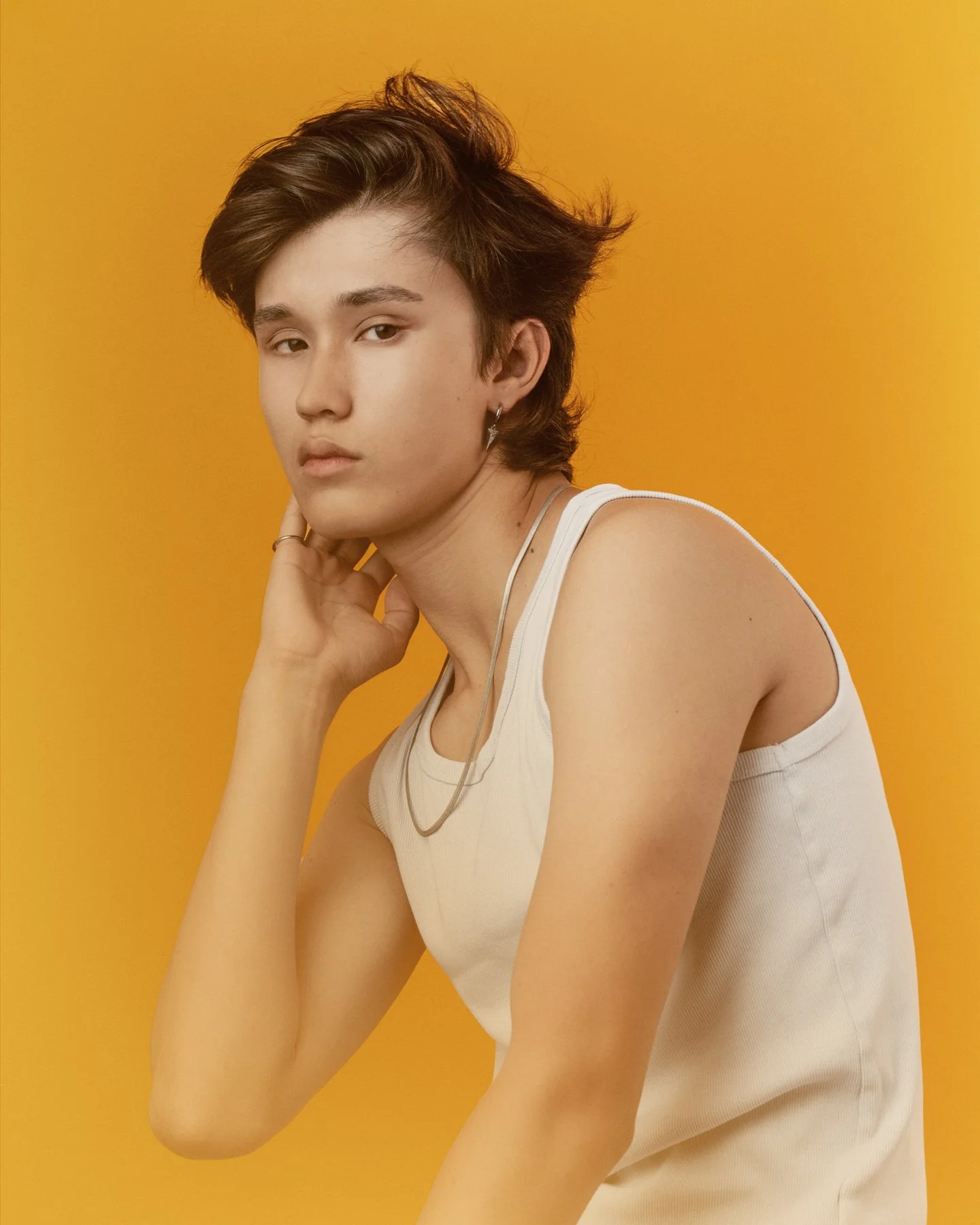 Brian - BNM Models