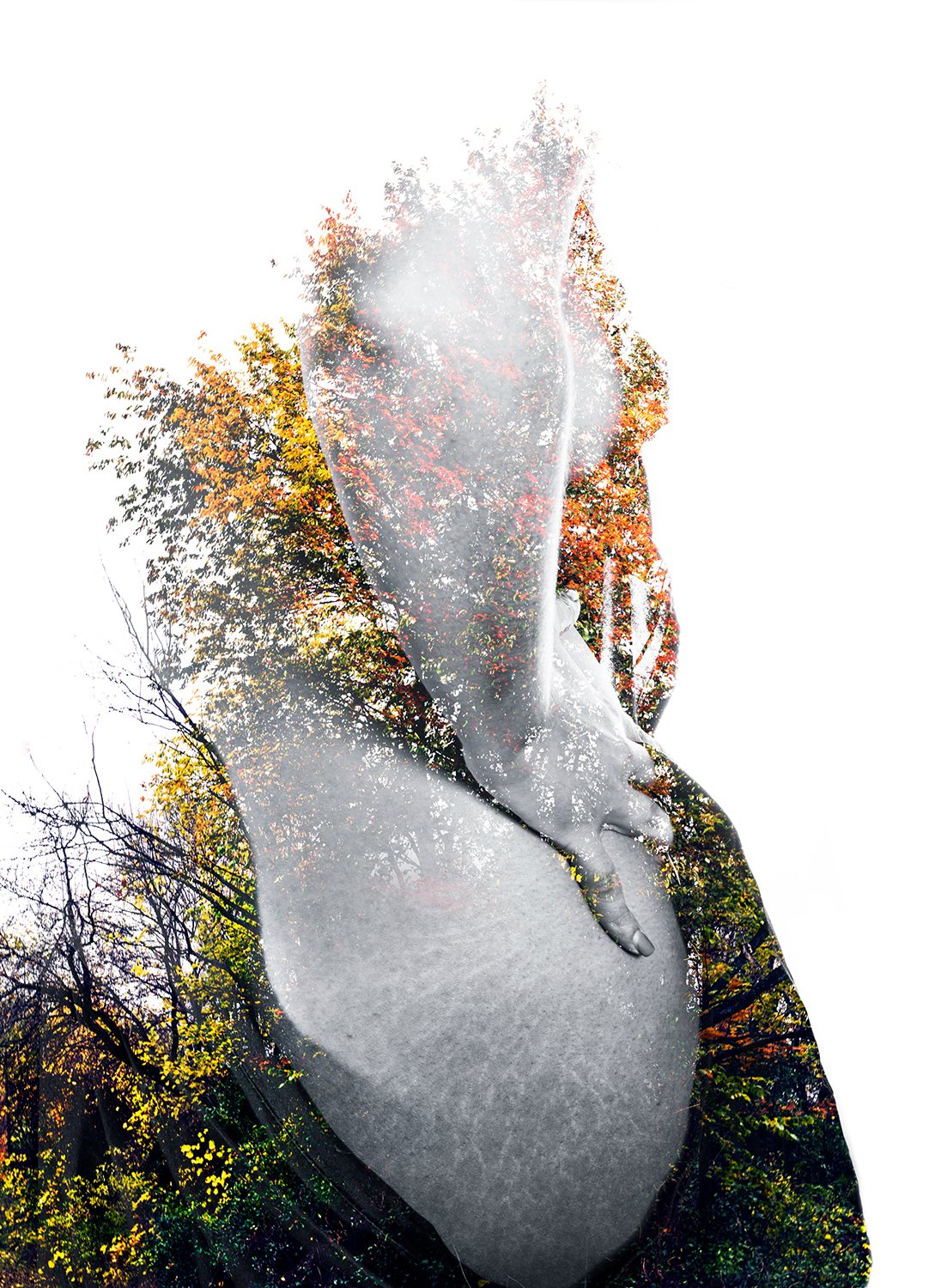 Dissolve
20 x 24
Acrylic Print **SOLD**