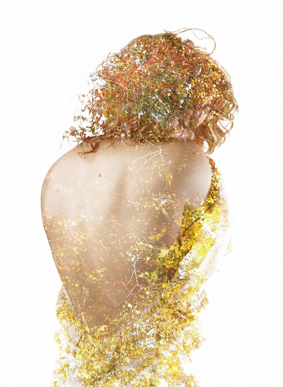 Held
11 x 15
Photography - Metal Print
$750