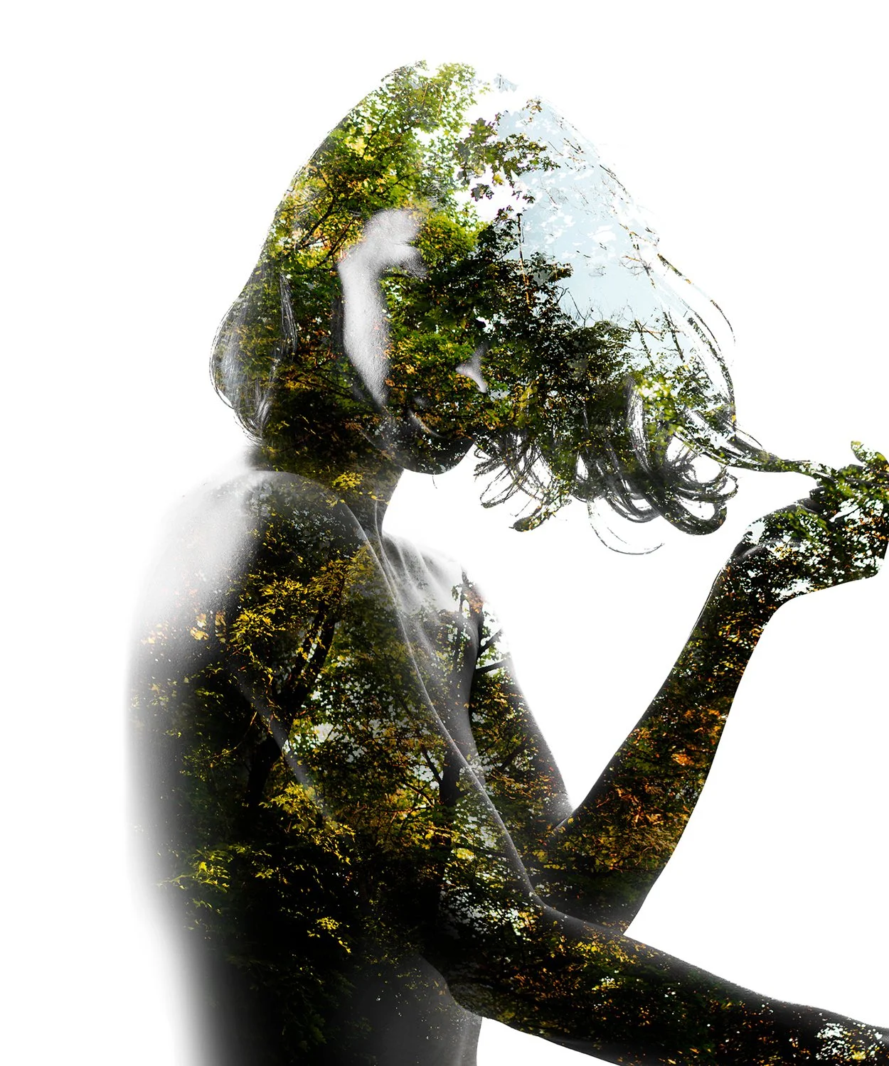 Jungle 
20" x 24"
Fine Art Print **SOLD**