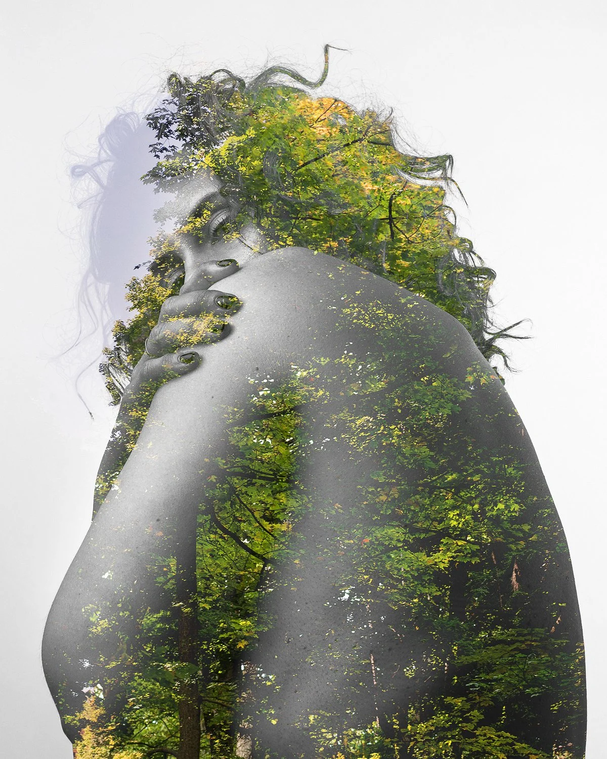 Summer
16" x 20"
Photography - Metal Print
$950