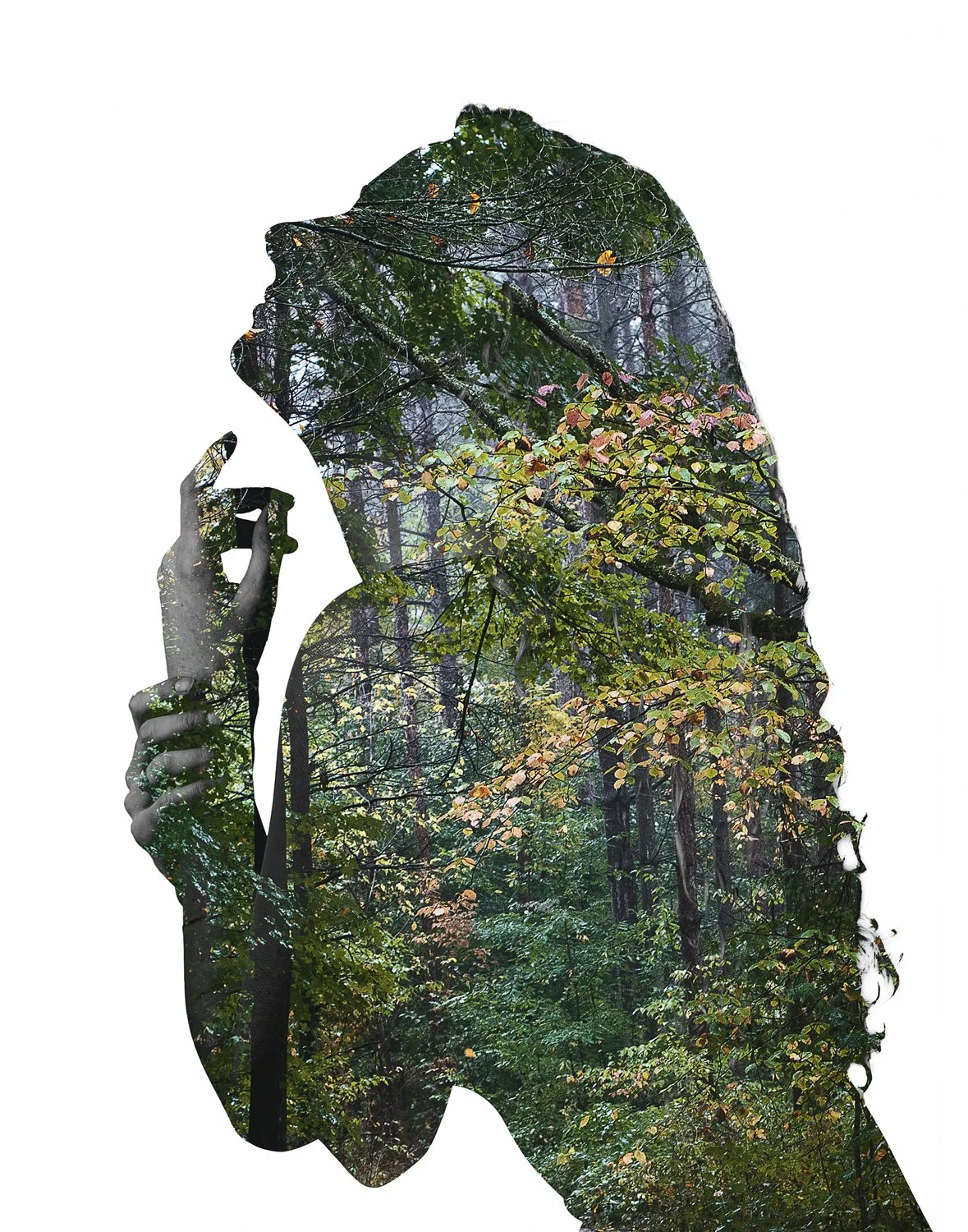 Verdant ** SOLD **
11" x 14"
Photography - Metal Print
