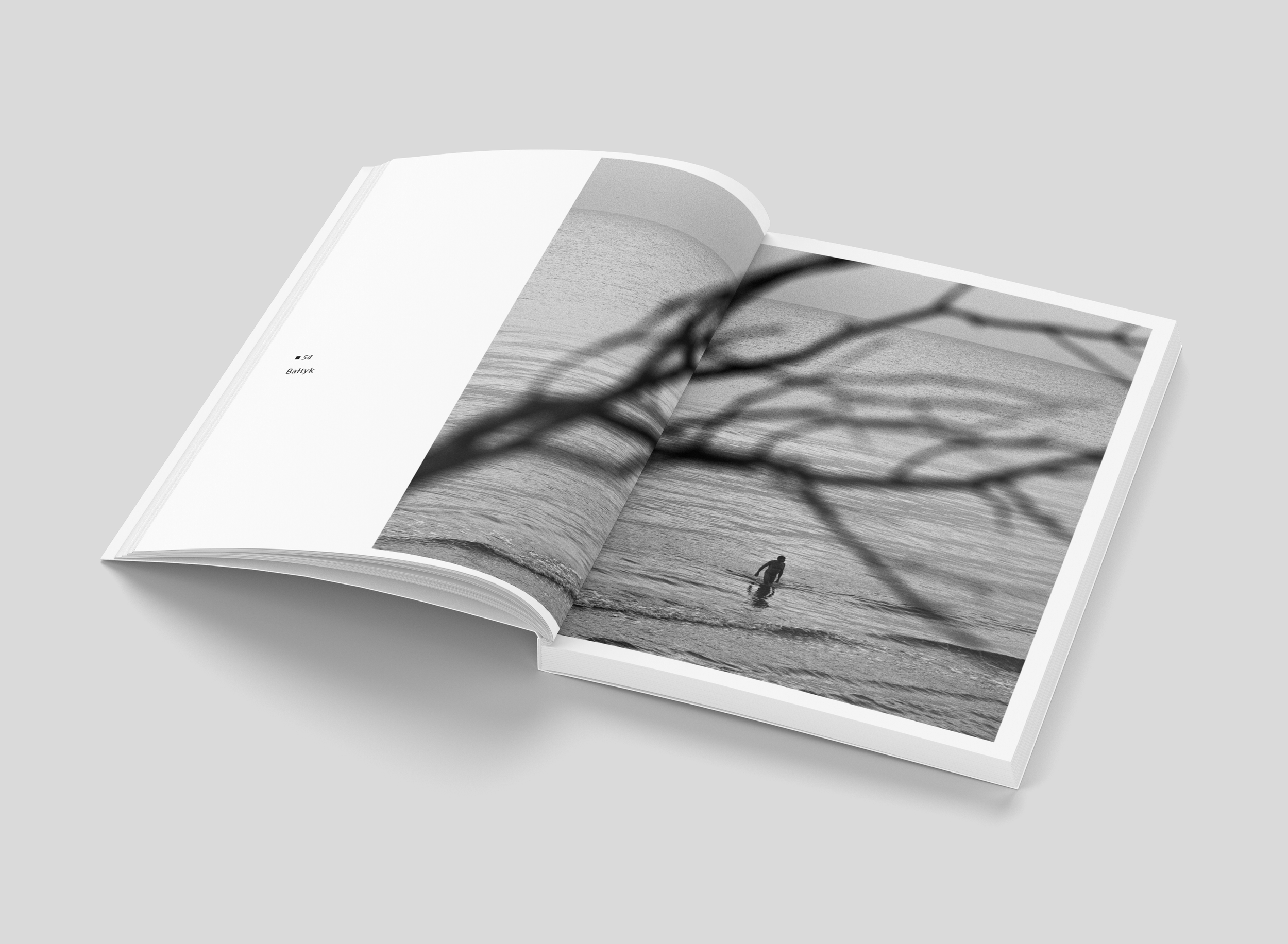 Book_Mockup_Bałtyk.png