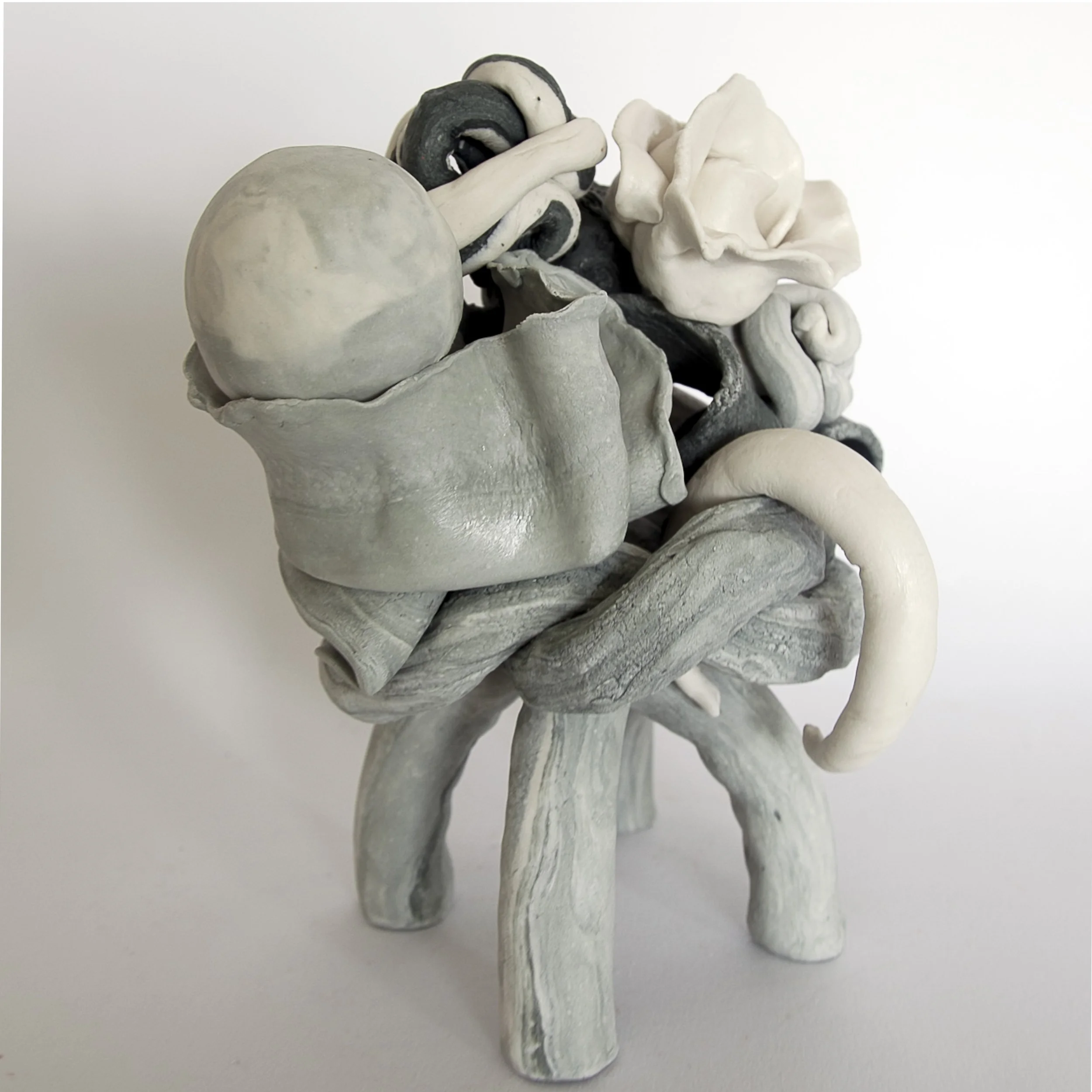 IMG_7397B square crop.jpg