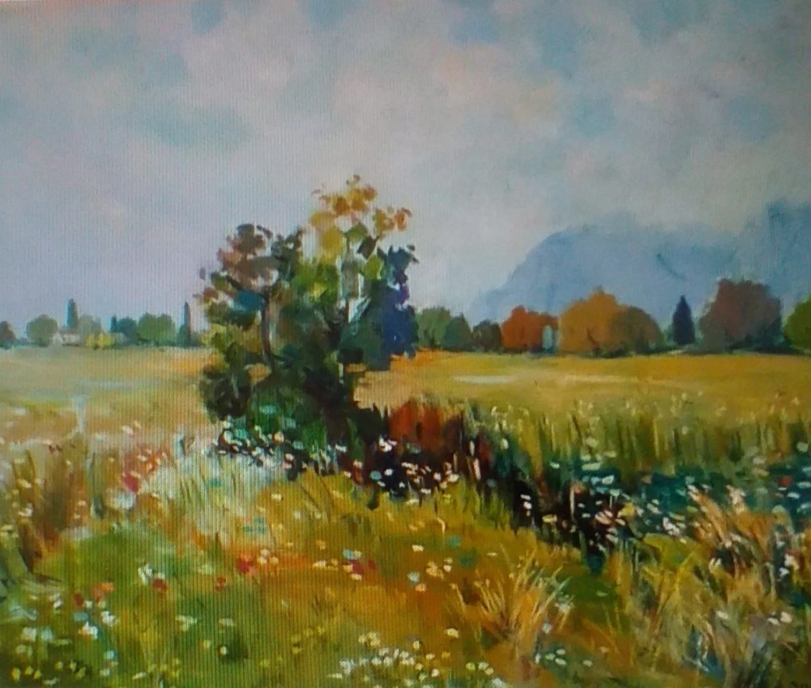 WhatsApp Image 2021-03-02 at 17.03.46.jpeg