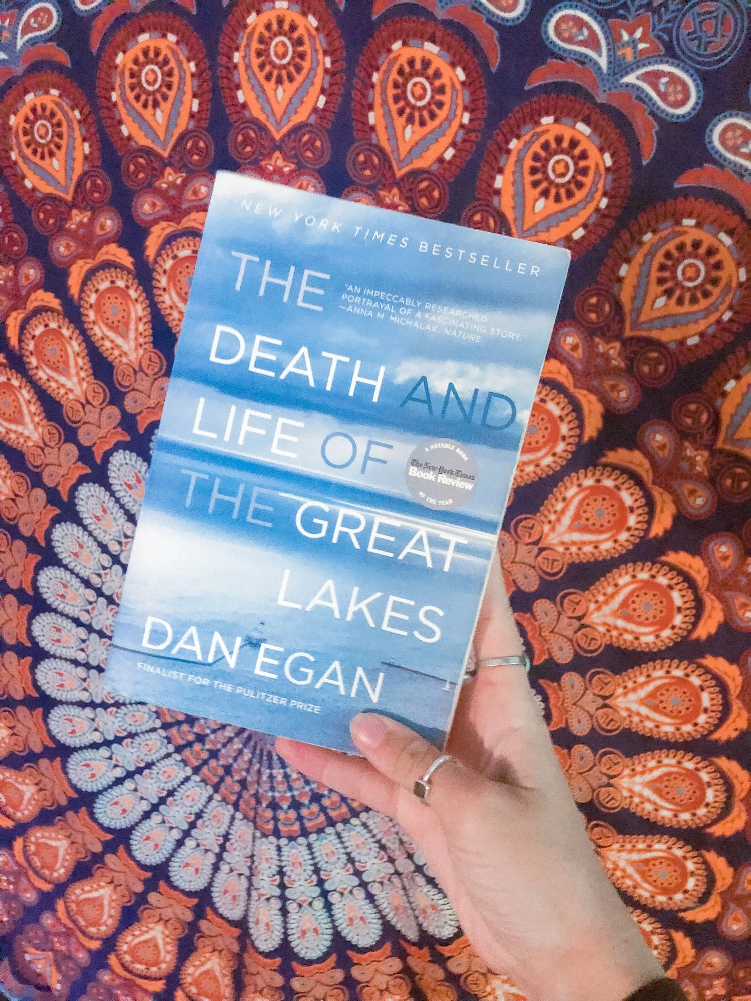 Rad Reads: The Death and Life of the Great Lakes
