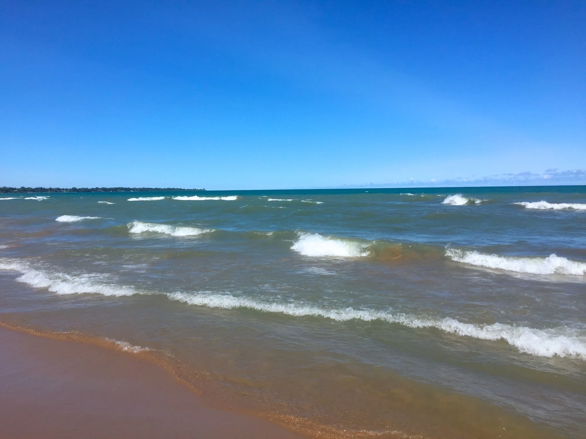 Surf's up
