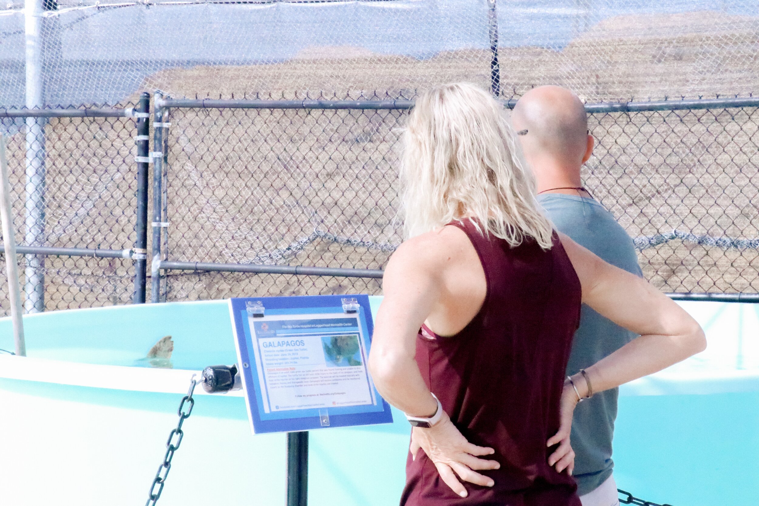 Visitors at Loggerhead Marinelife Center