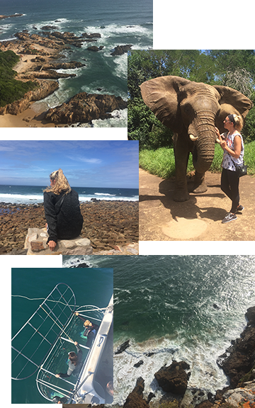 Safari weekend along the Garden Route and cage diving with sharks in South Africa.