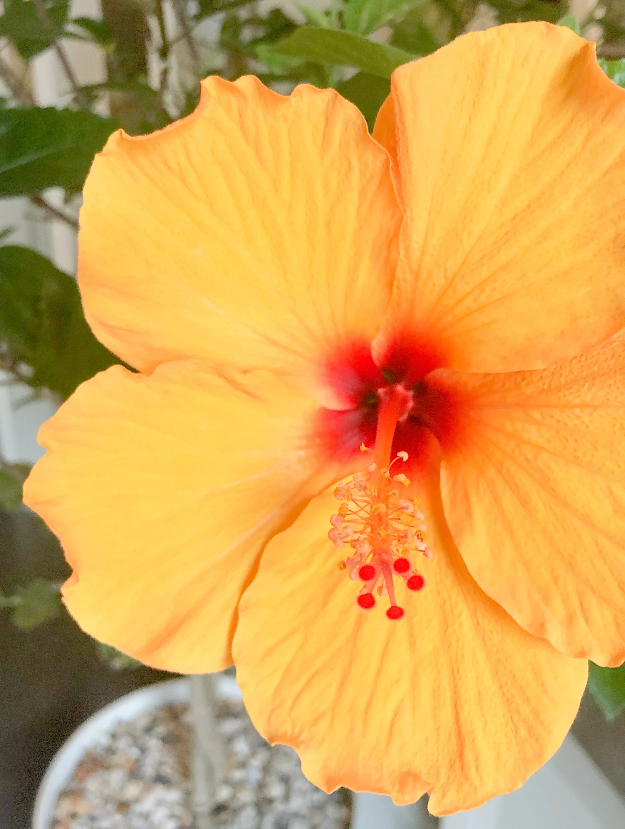 The Home Stretch of 2020