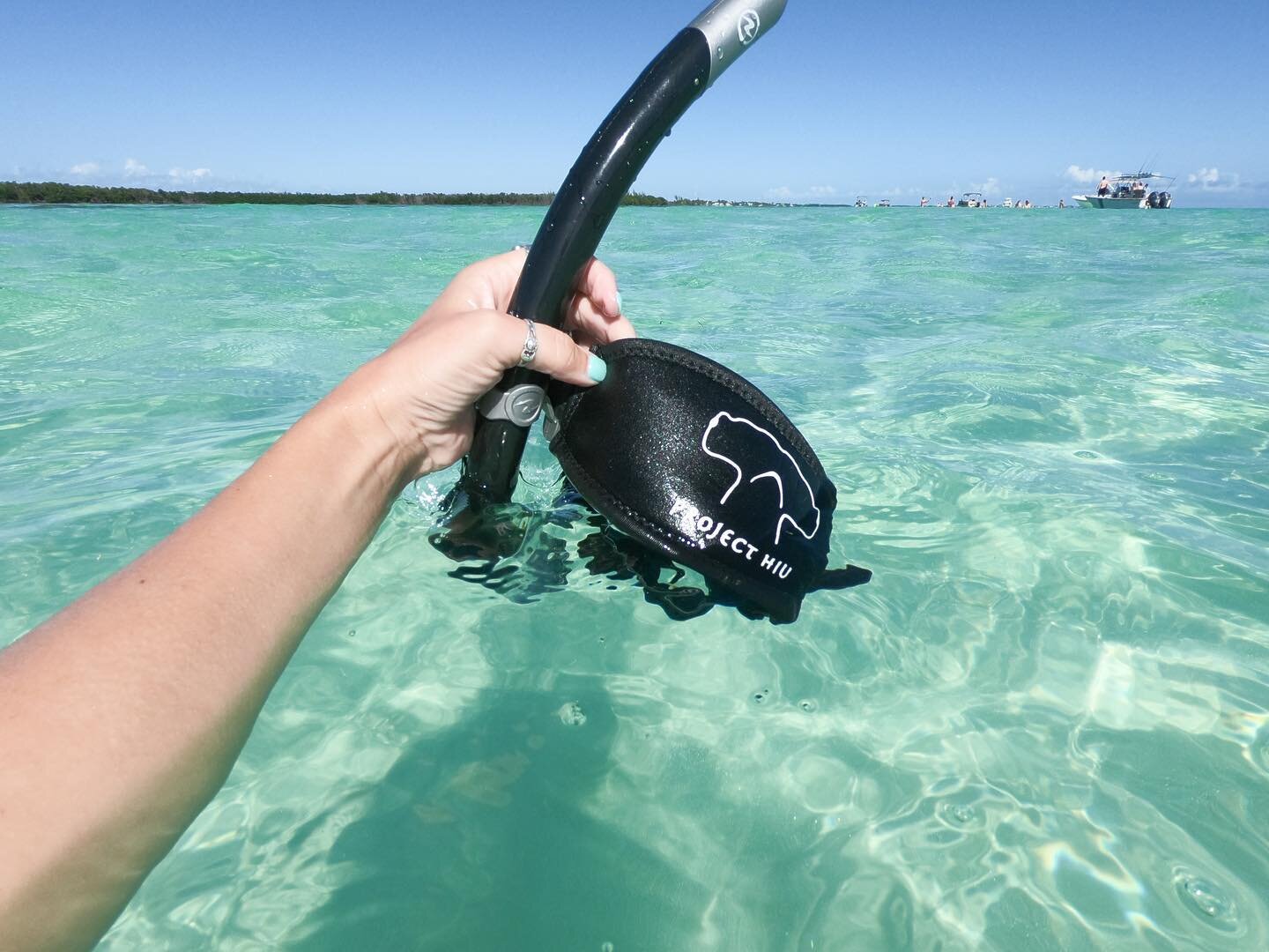 Mentally I&rsquo;m still in the Keys swimming around the sand bar with all my hermit crab buds 🐚

Also, I&rsquo;m obsessed with my new mask from @projecthiu and love love love what they do and highly recommend checking out their shark conservation w