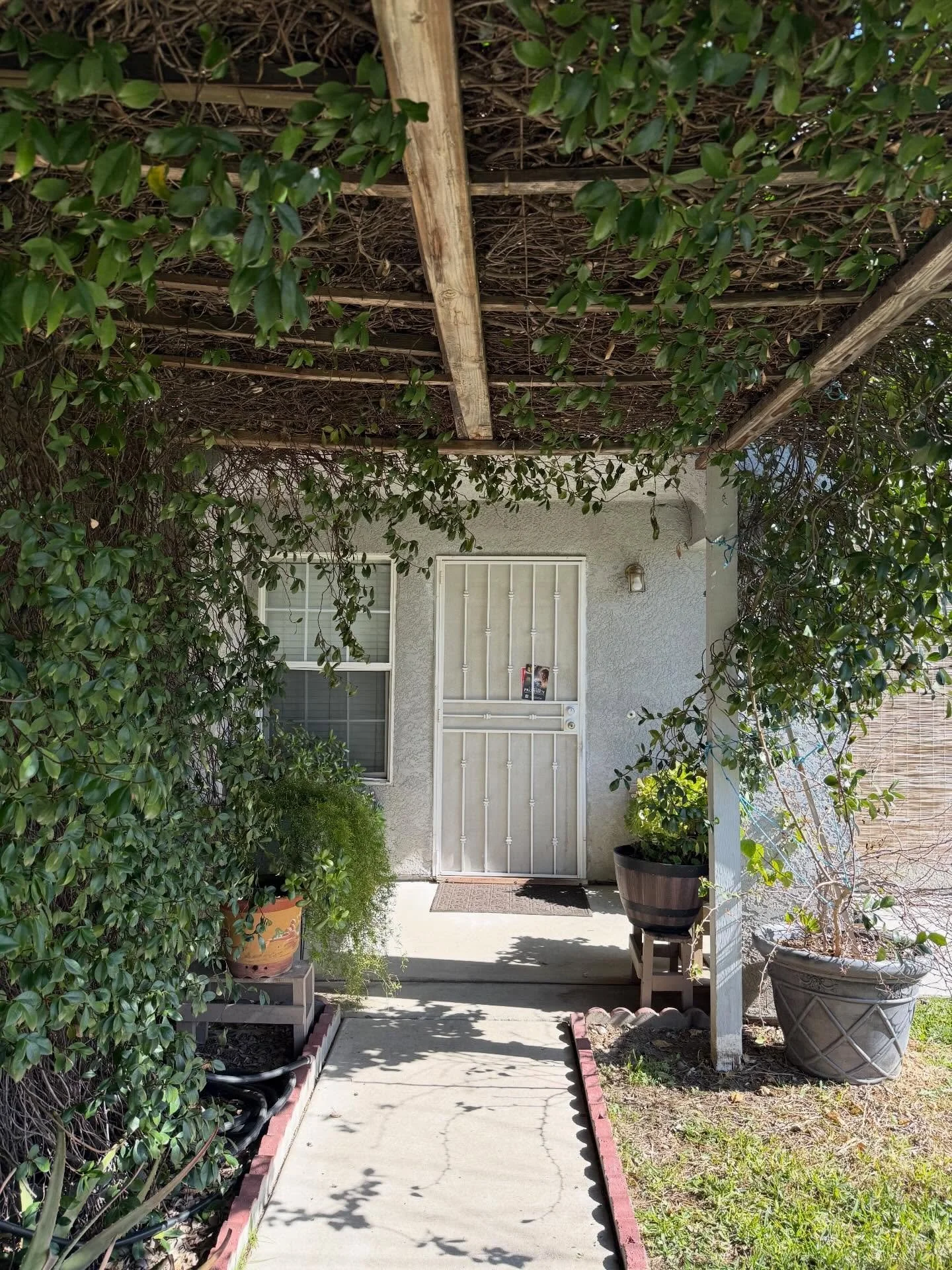 Pray for each seminar going on RIGHT NOW!
But other than flyering our Bible workers(T2) have had amazing opportunities to do Bible studies, sing, garden, preach, and much more. Surrender to God daily and let us not grow weary while doing good, do not