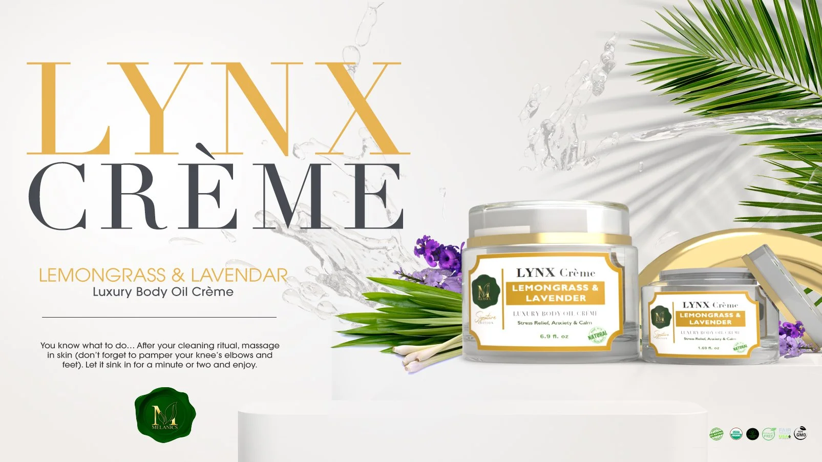 Melanics Mock UP Lynx copy.jpg