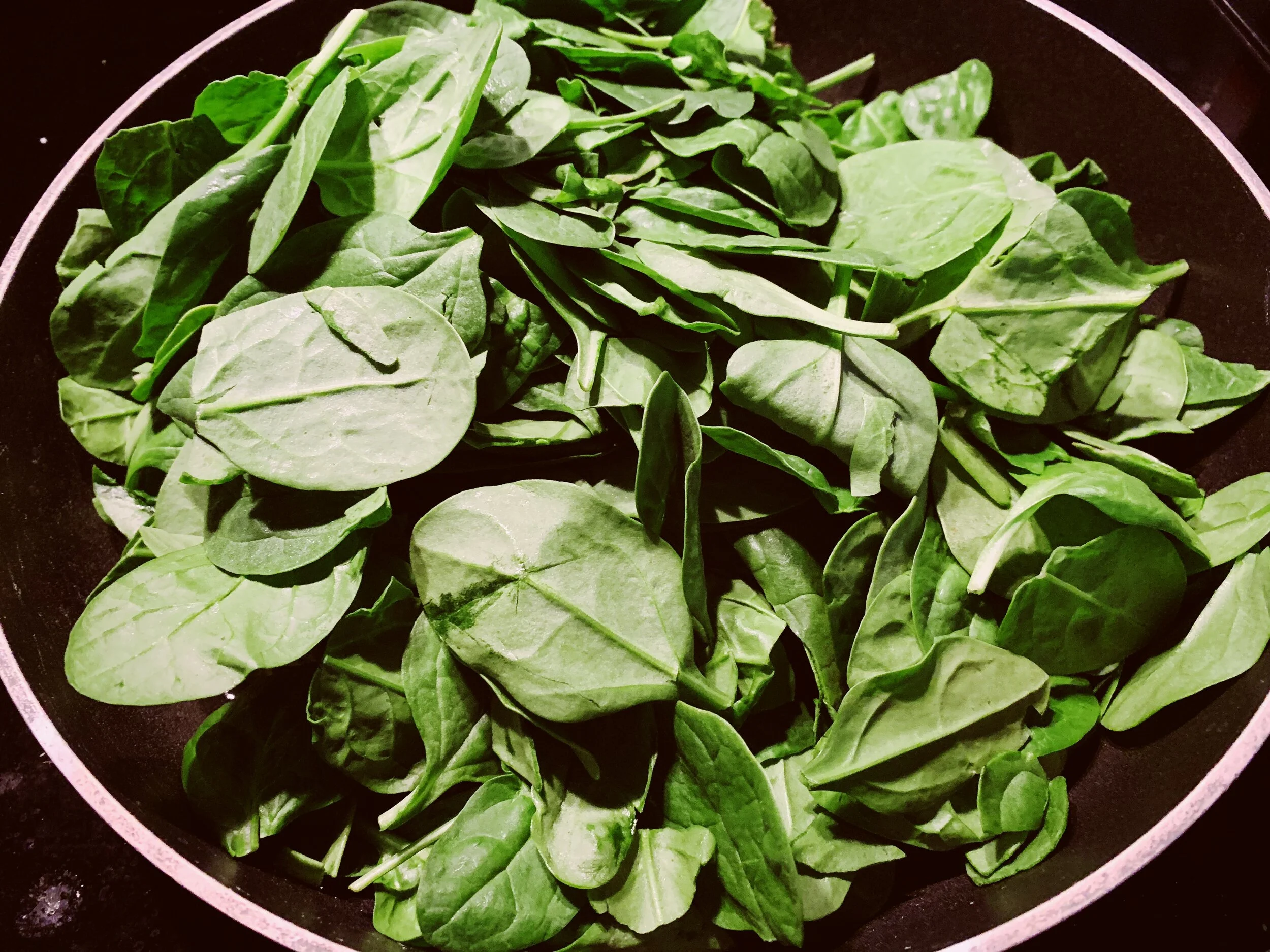 0CA90178-C327-46A1-A31F-98F4FFA42C8B 2.JPG