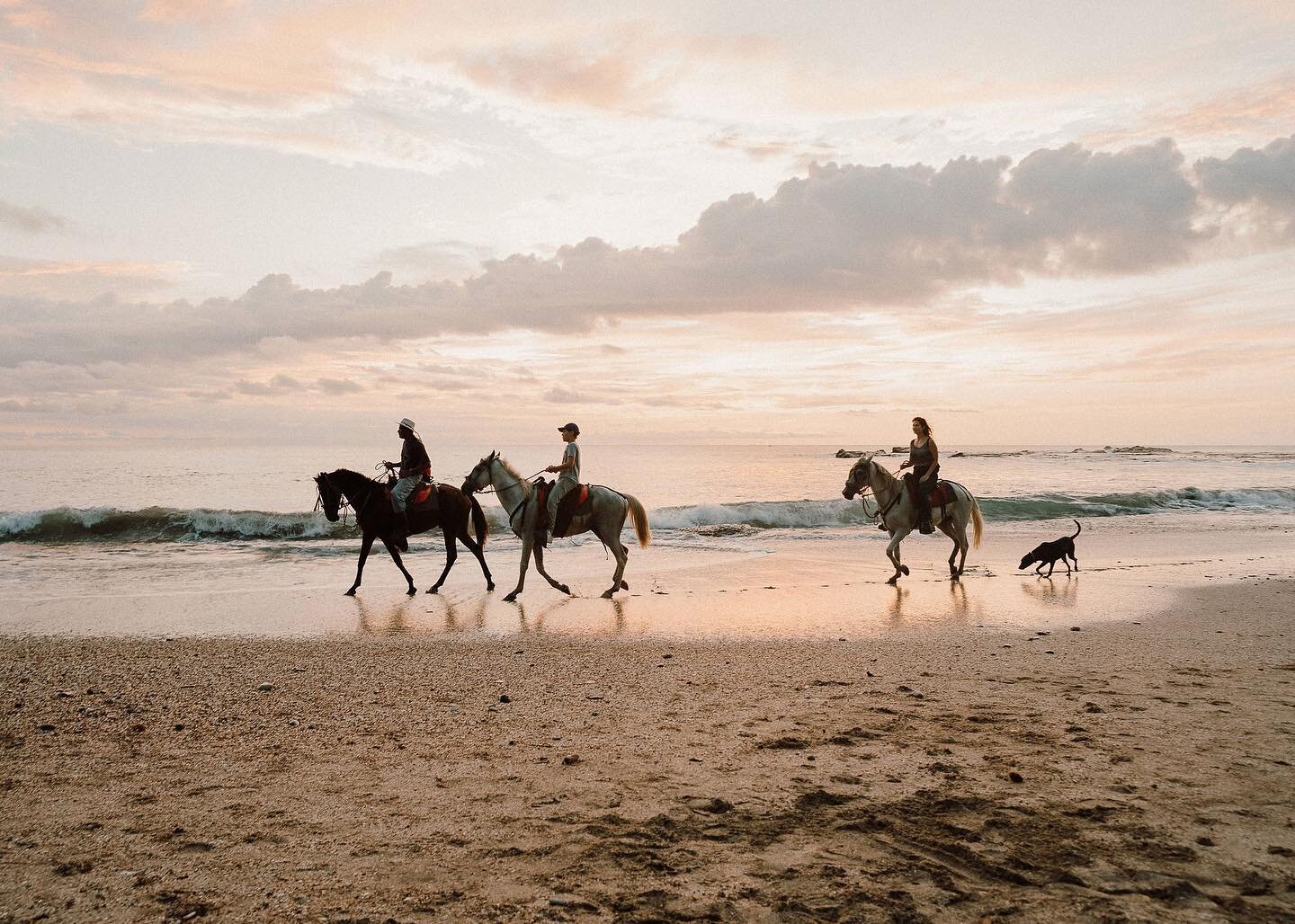 Paradise isn't a place. It's a feeling. ✨⁠
⁠
-L. Boyer⁠
⁠
⁠
⁠
#nosara #nosaracostarica #nosarabeach  #nosaralife #weddingsnosara  #nosarawedding  #CRweddingplanner #destinationwedding #destinationweddingplanner #destinationweddingplanners #costaricad