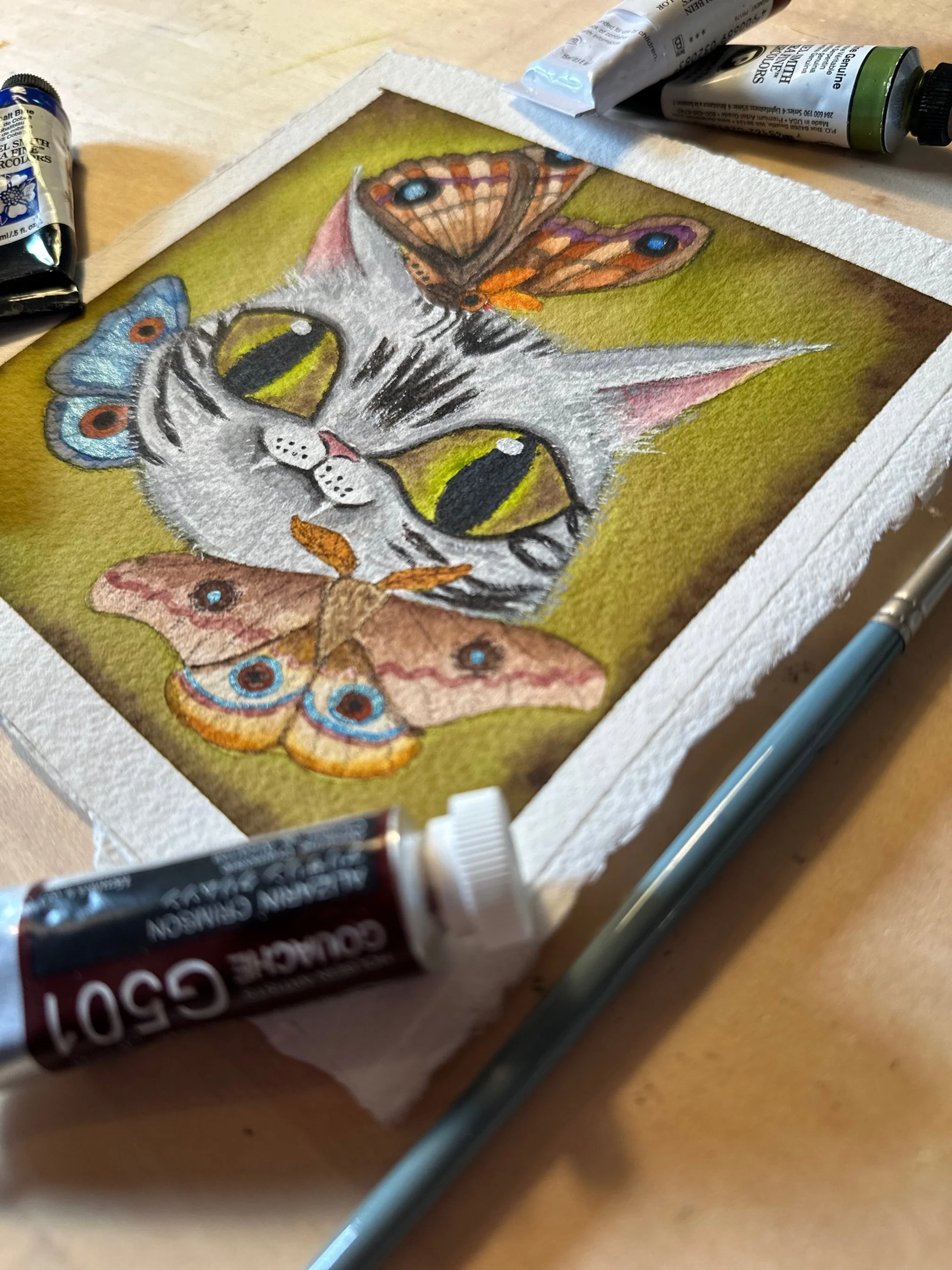 Silver Tabby Gremlin and Moths