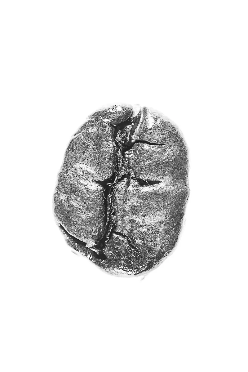 Bean-2.jpg