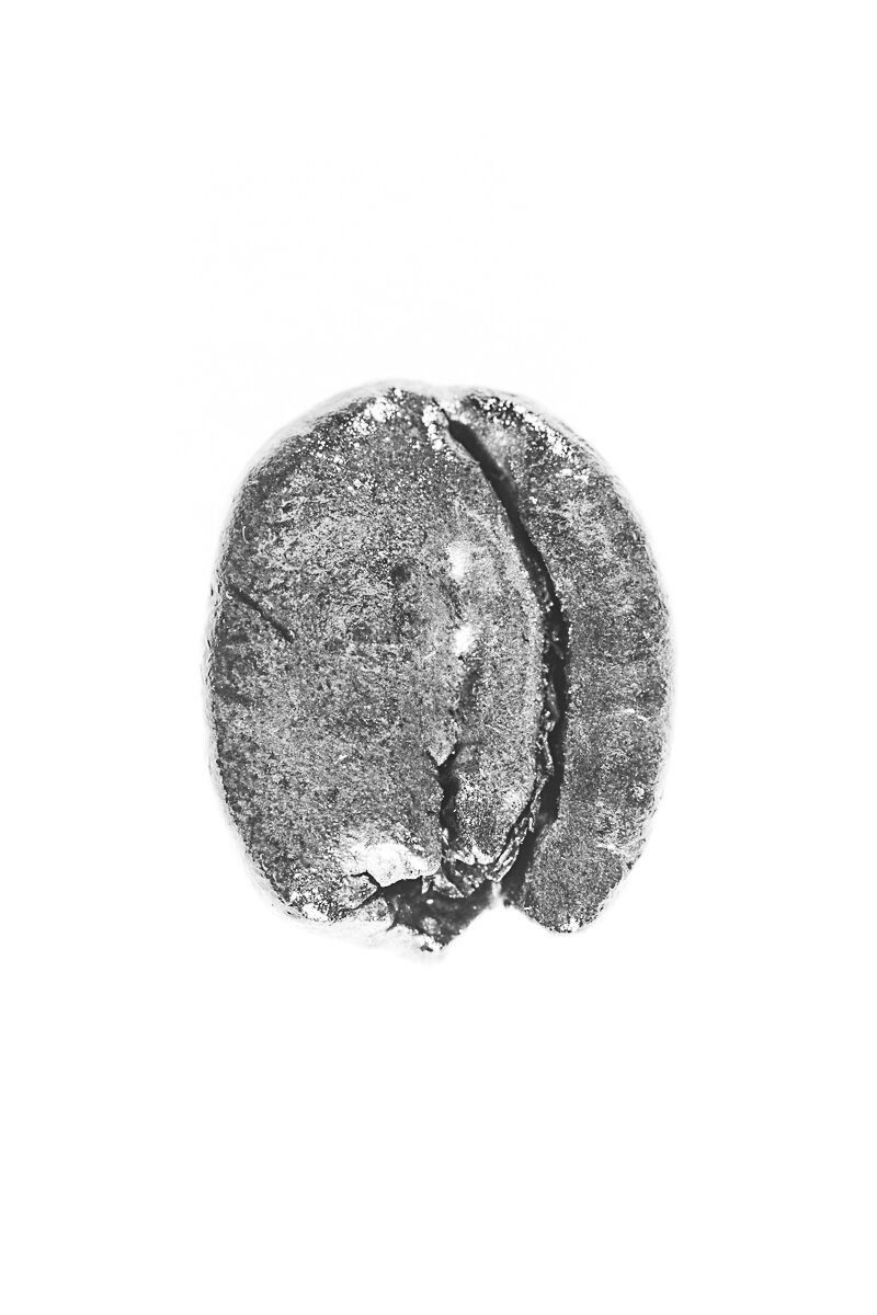 Bean-7.jpg