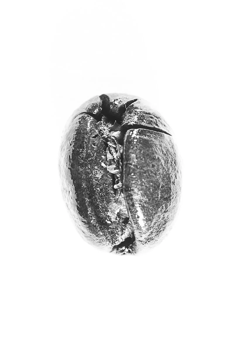 Bean-8.jpg