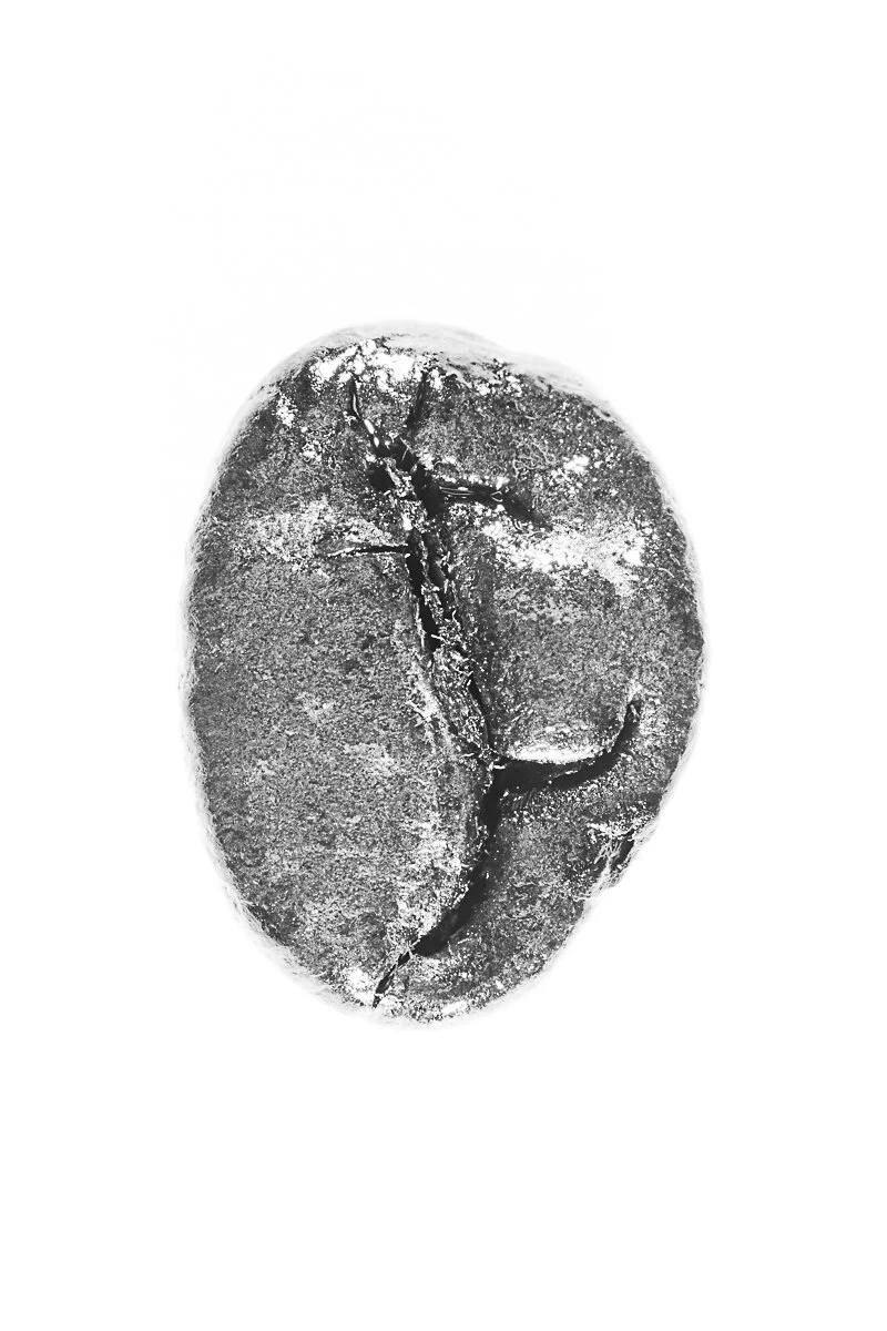 Bean-12.jpg