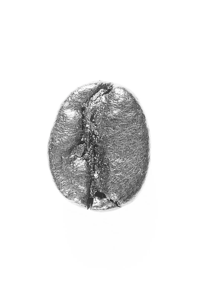 Bean-14.jpg