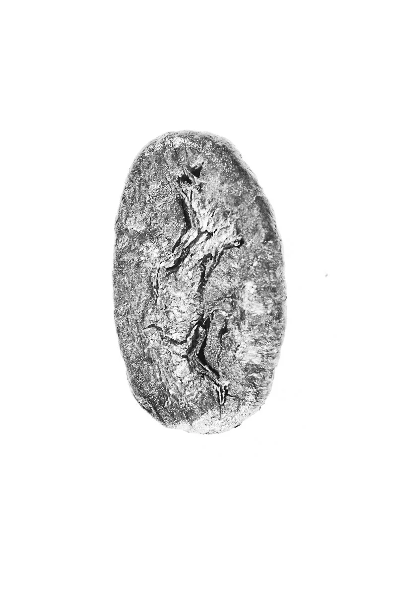 Bean-16.jpg