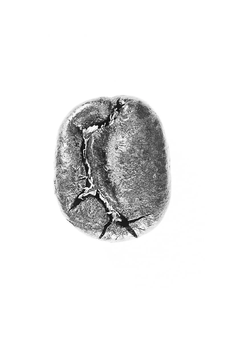 Bean-19.jpg