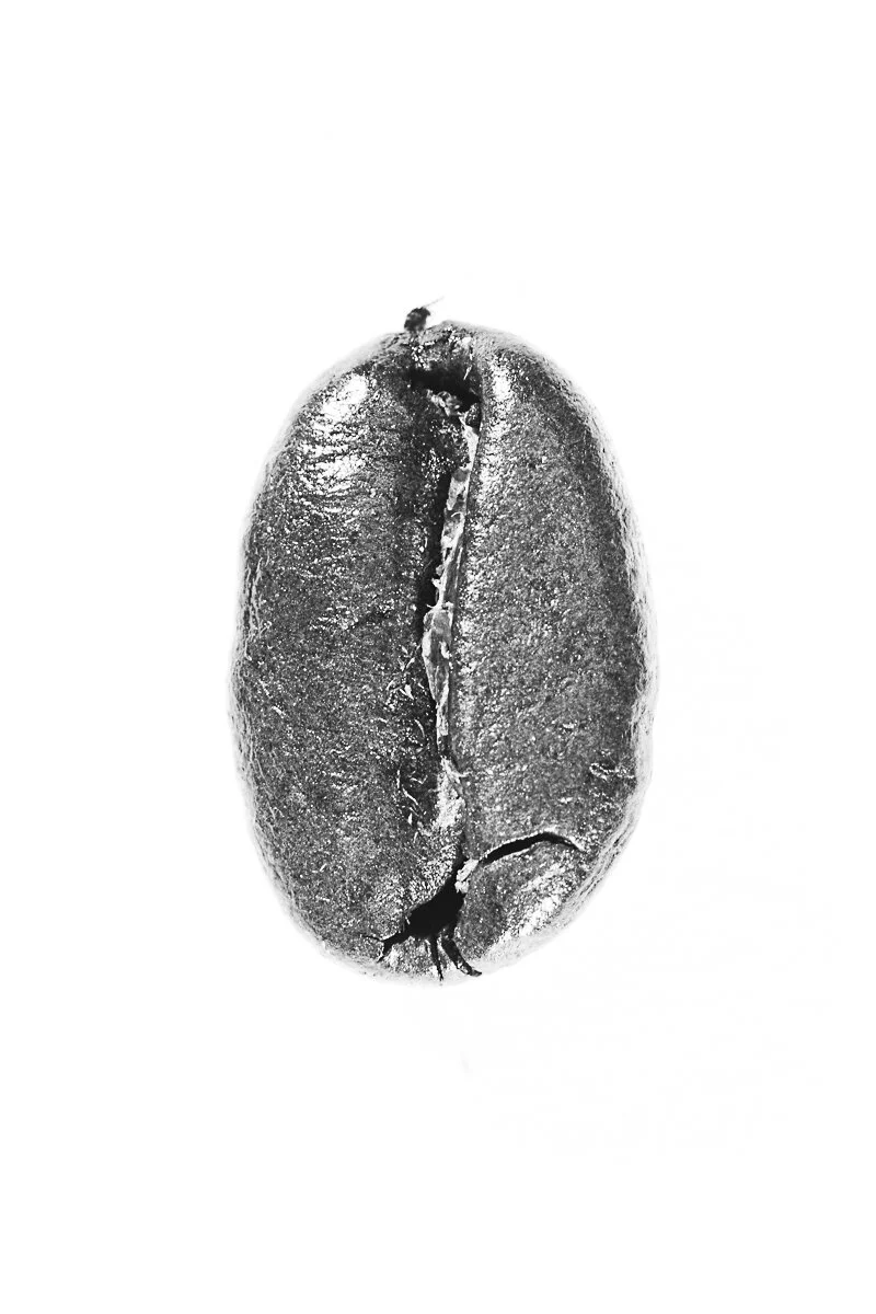 Bean-20.jpg